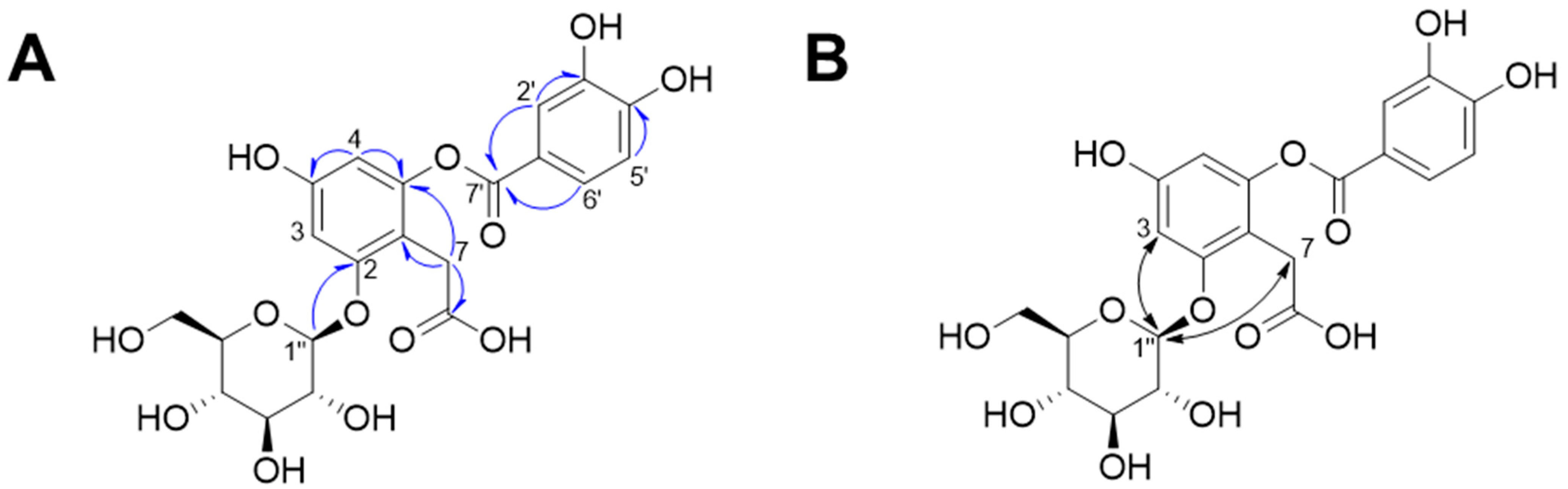 Plants 13 01266 g002