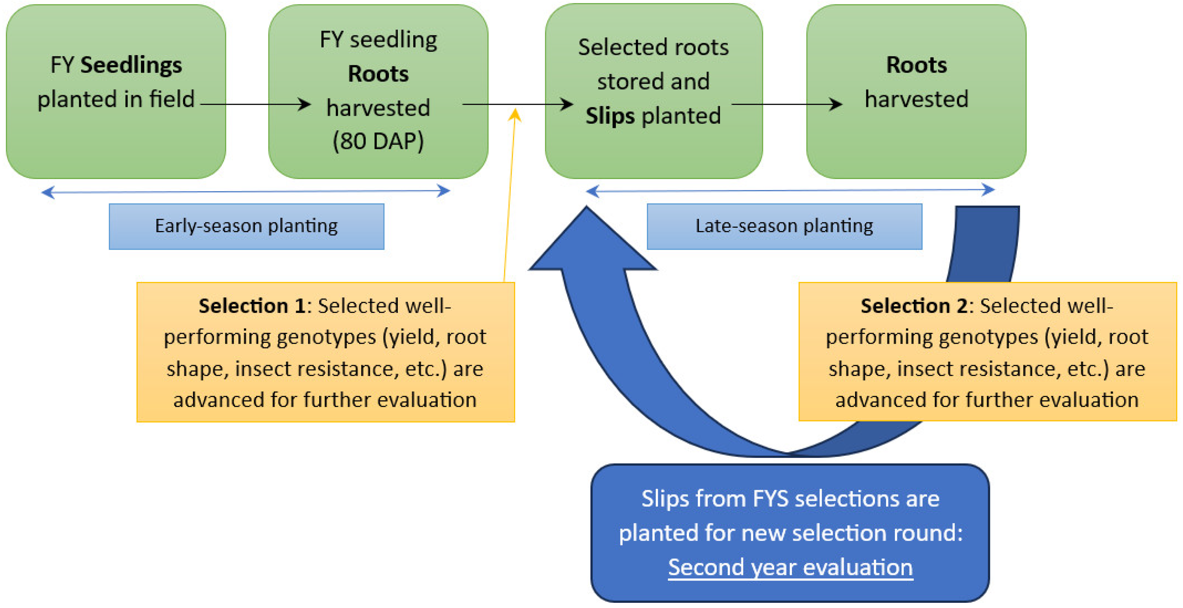 Plants 13 01267 g002