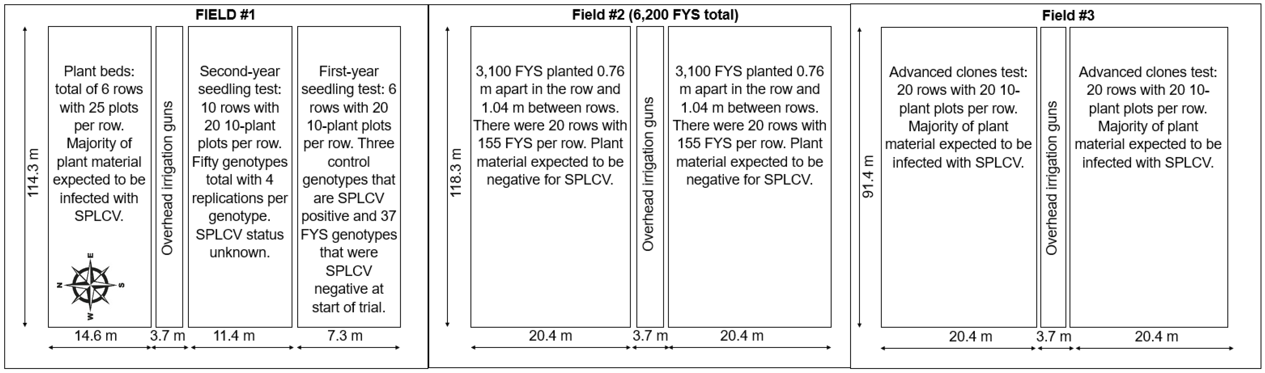 Plants 13 01267 g003