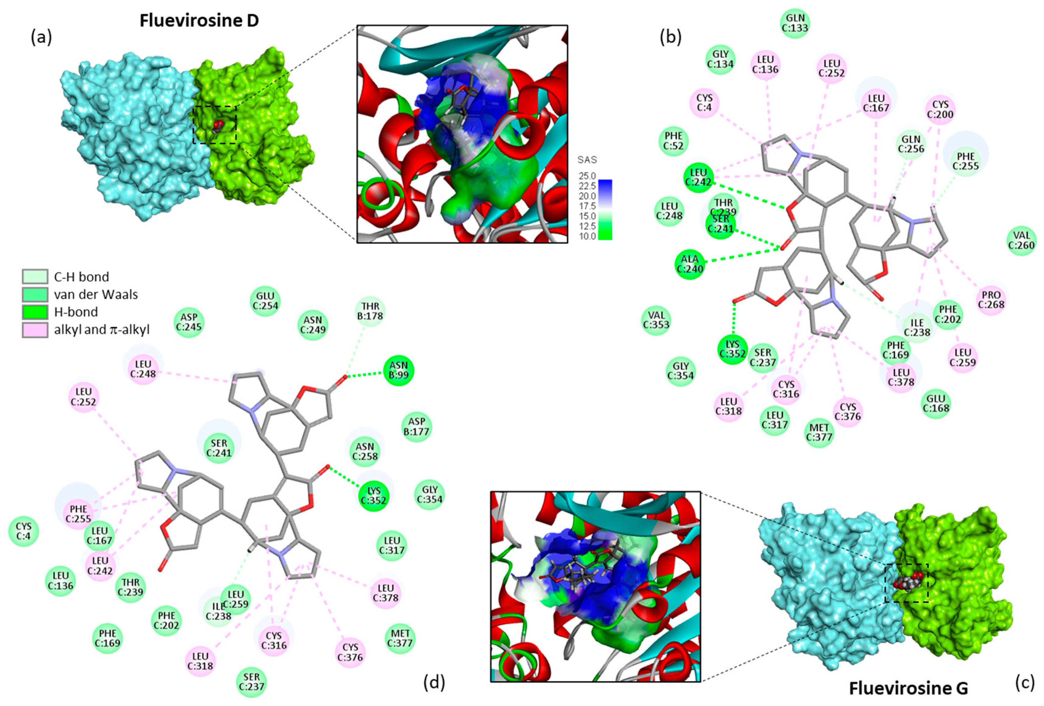 Plants 13 01269 g004