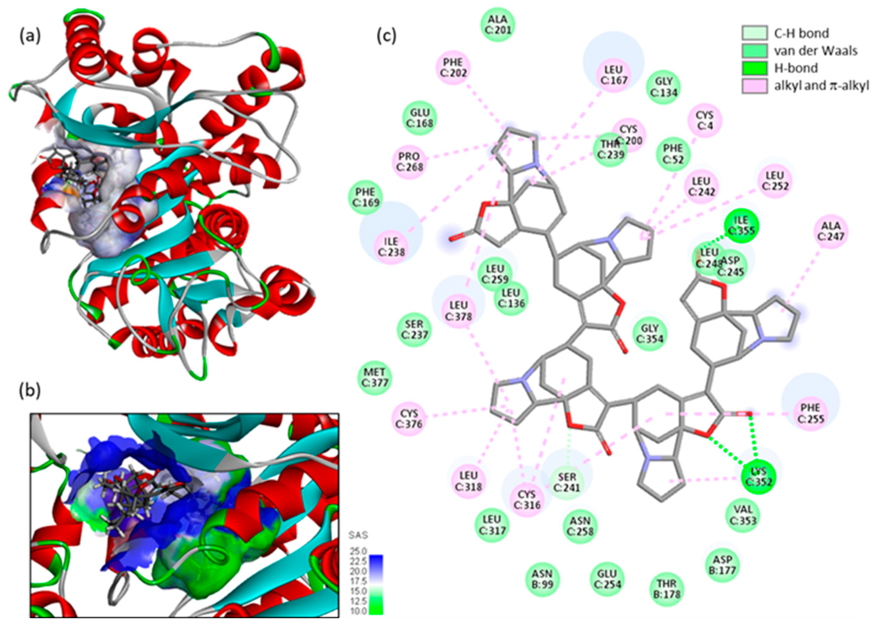 Plants 13 01269 g007