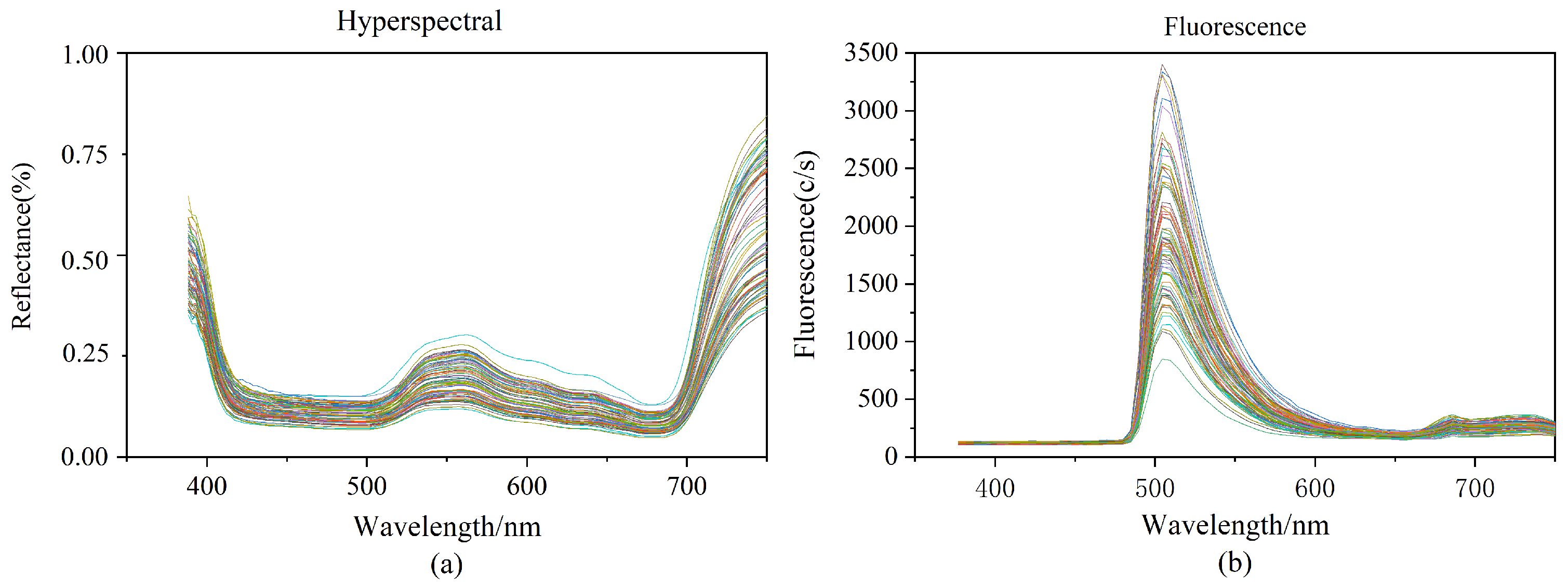 Plants 13 01270 g001