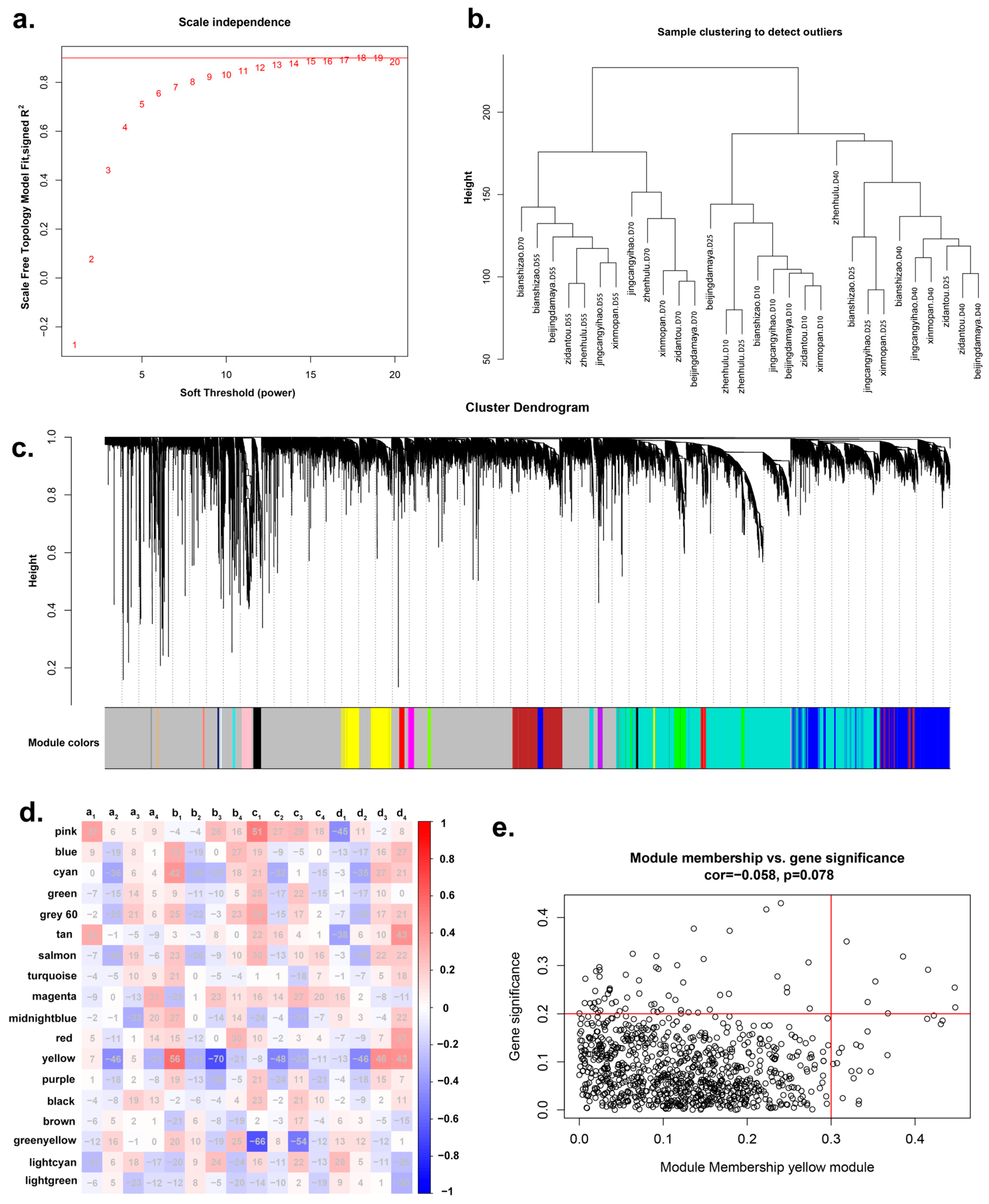 Plants 13 01273 g002