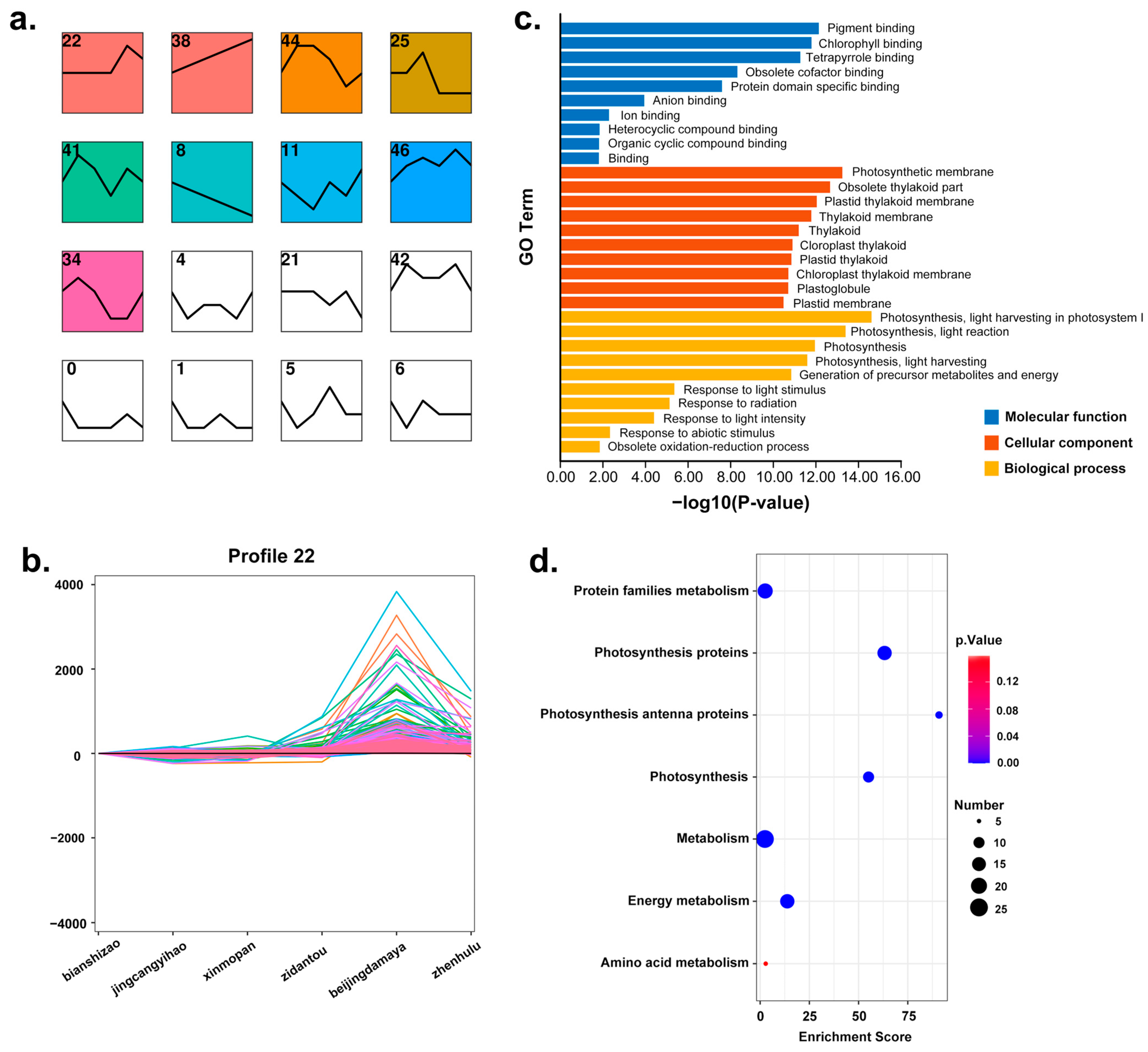 Plants 13 01273 g004