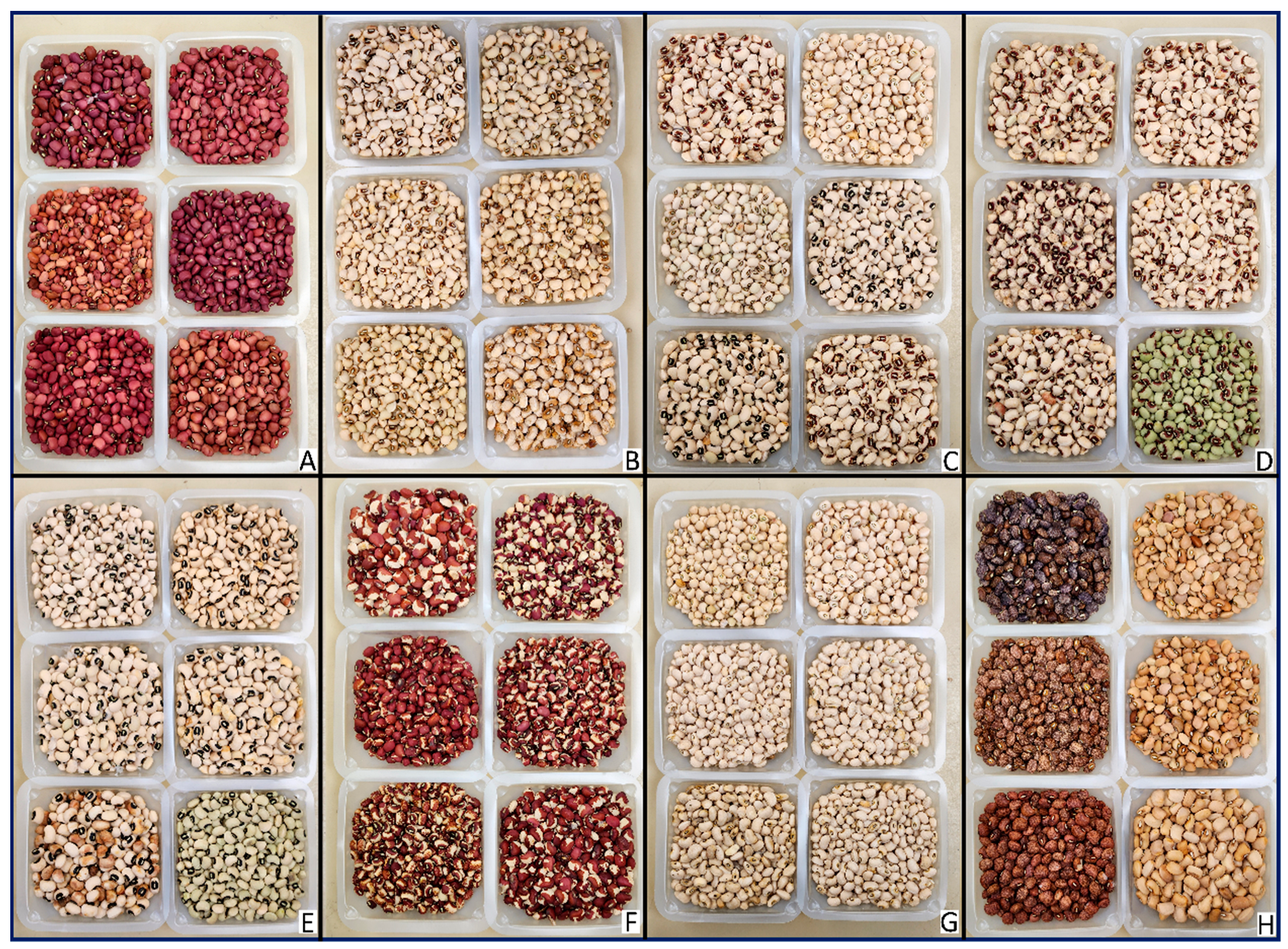 Plants 13 01275 g001