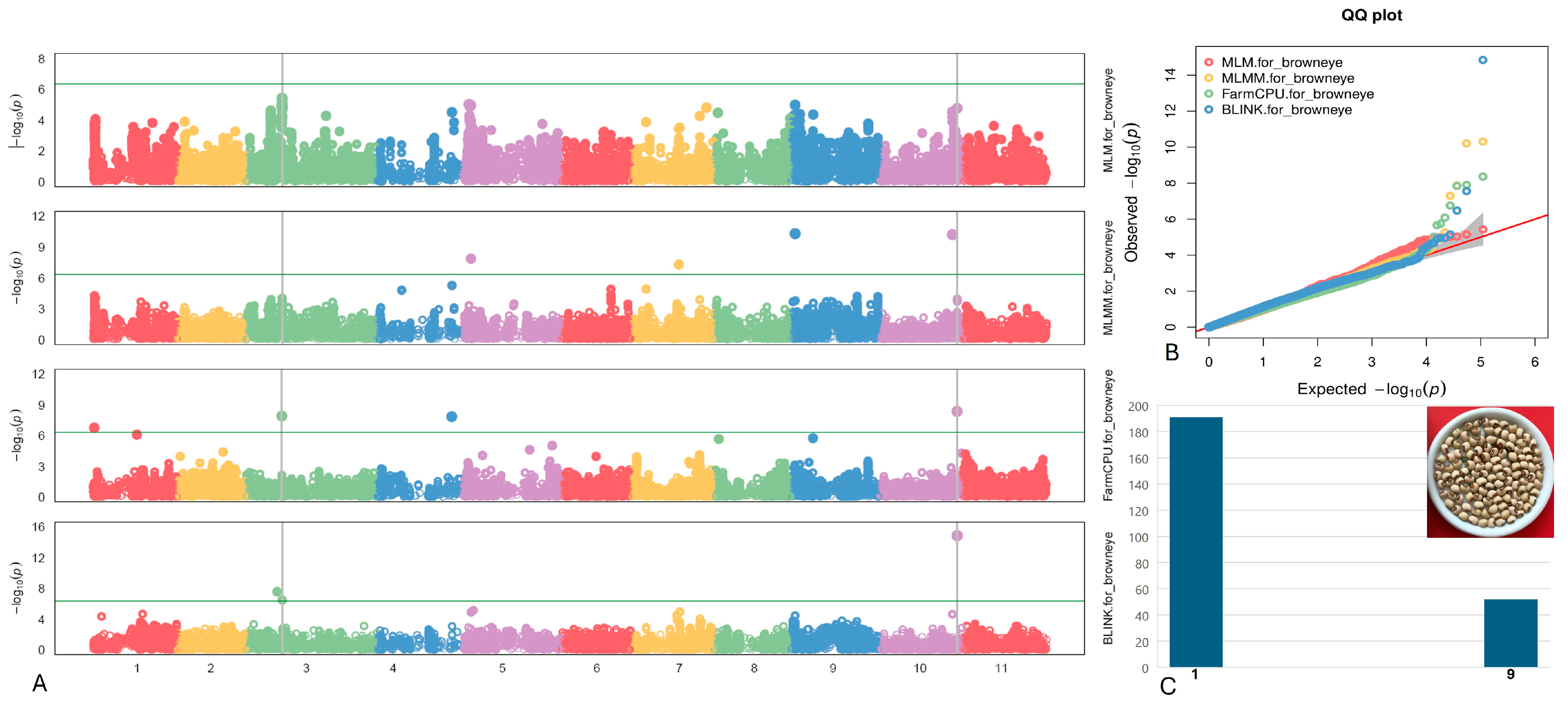 Plants 13 01275 g004