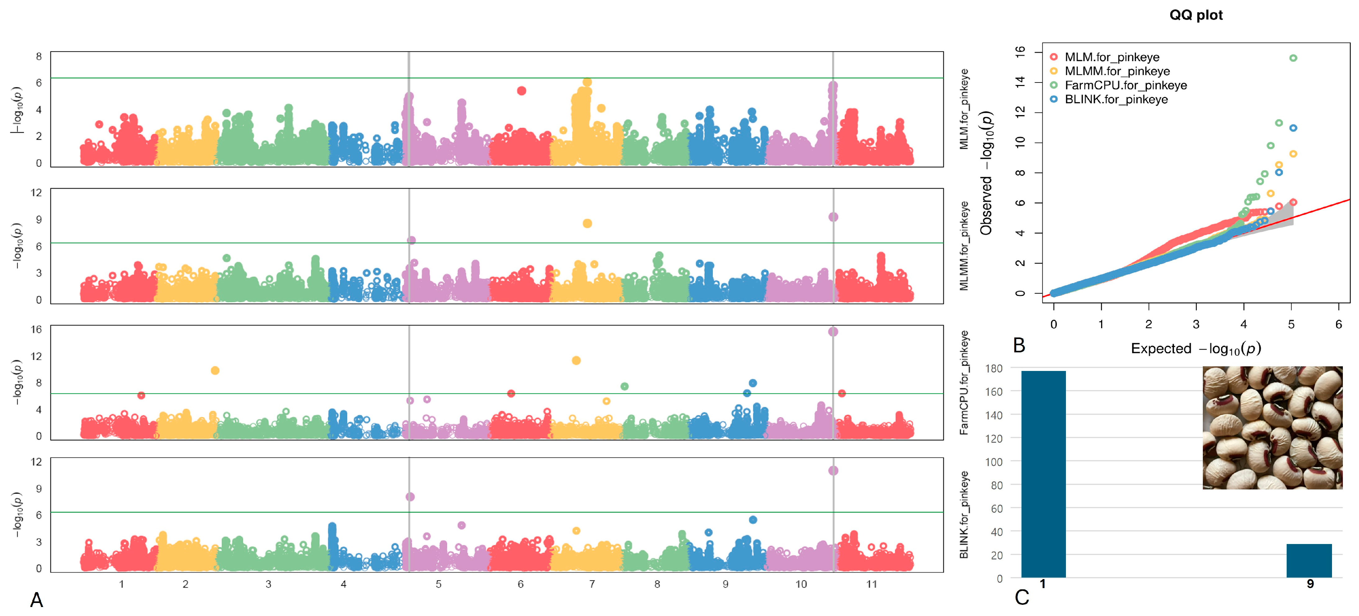 Plants 13 01275 g005