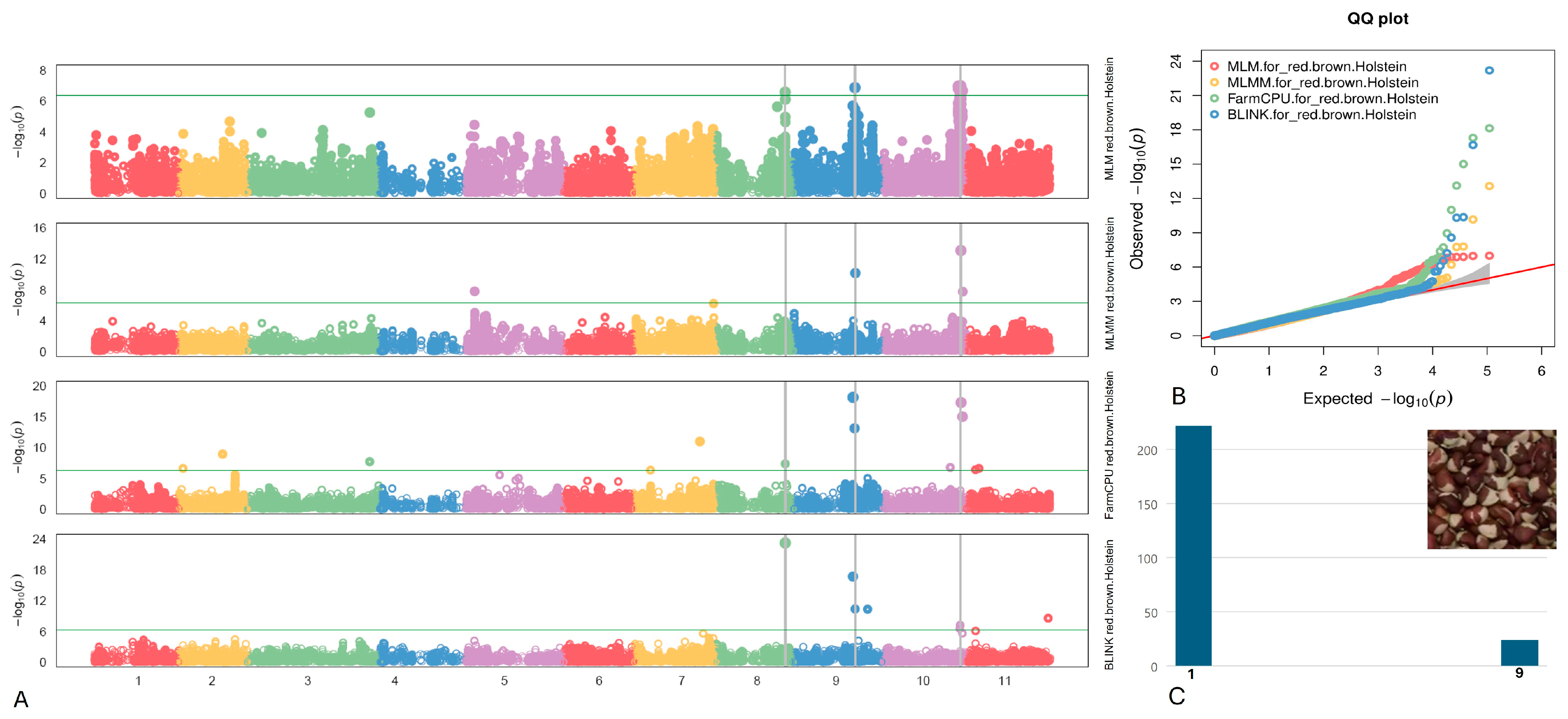 Plants 13 01275 g006