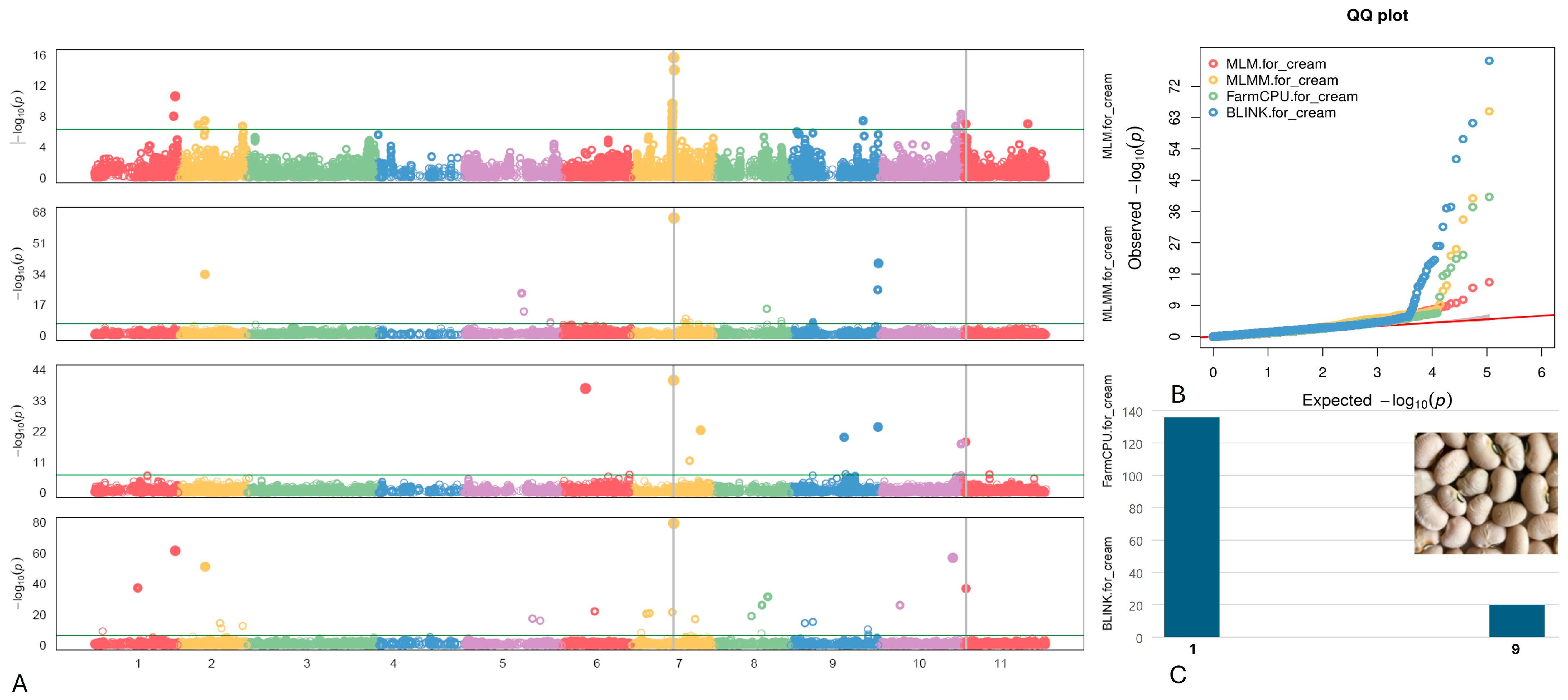 Plants 13 01275 g007