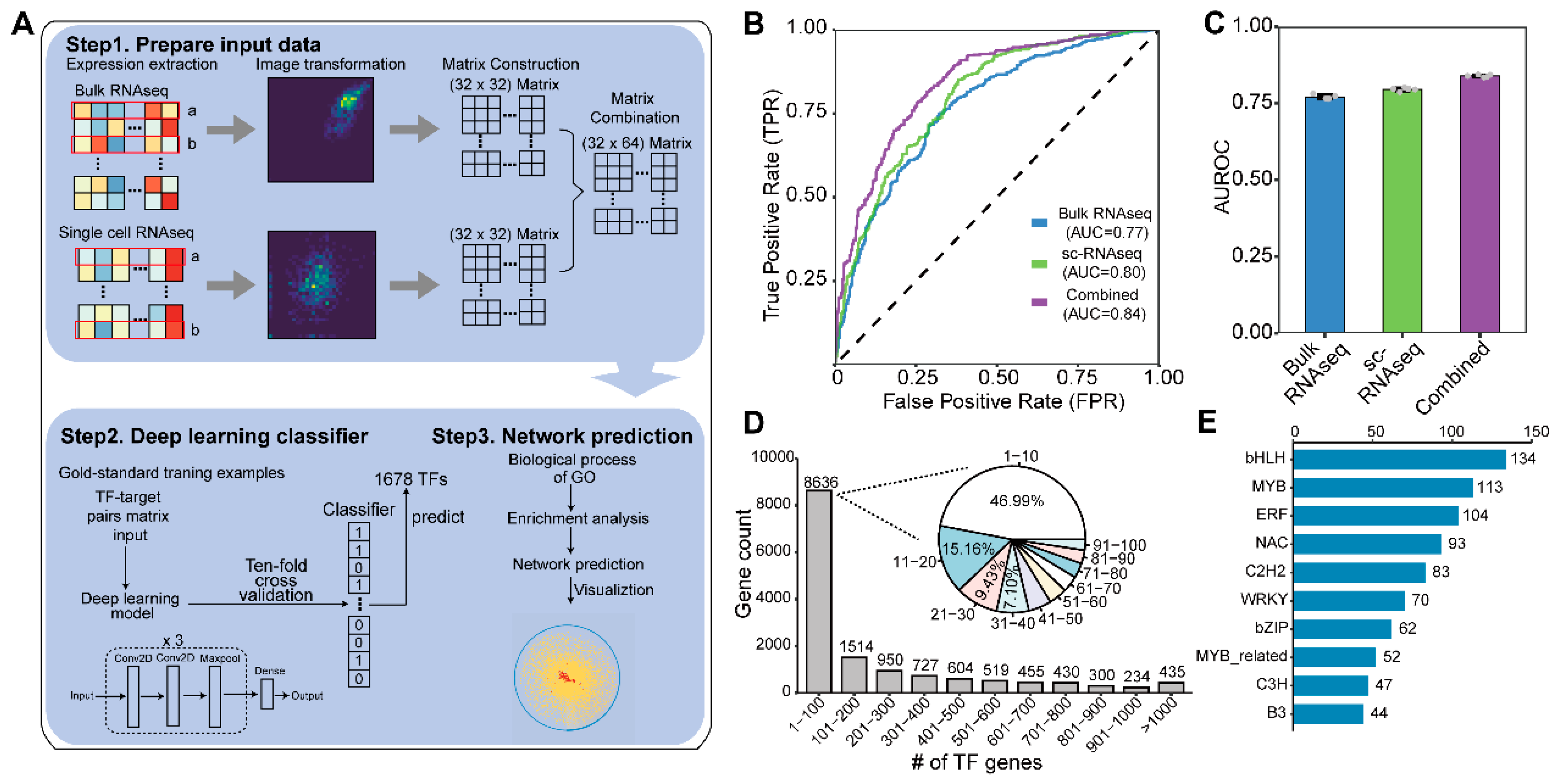Plants 13 01276 g001