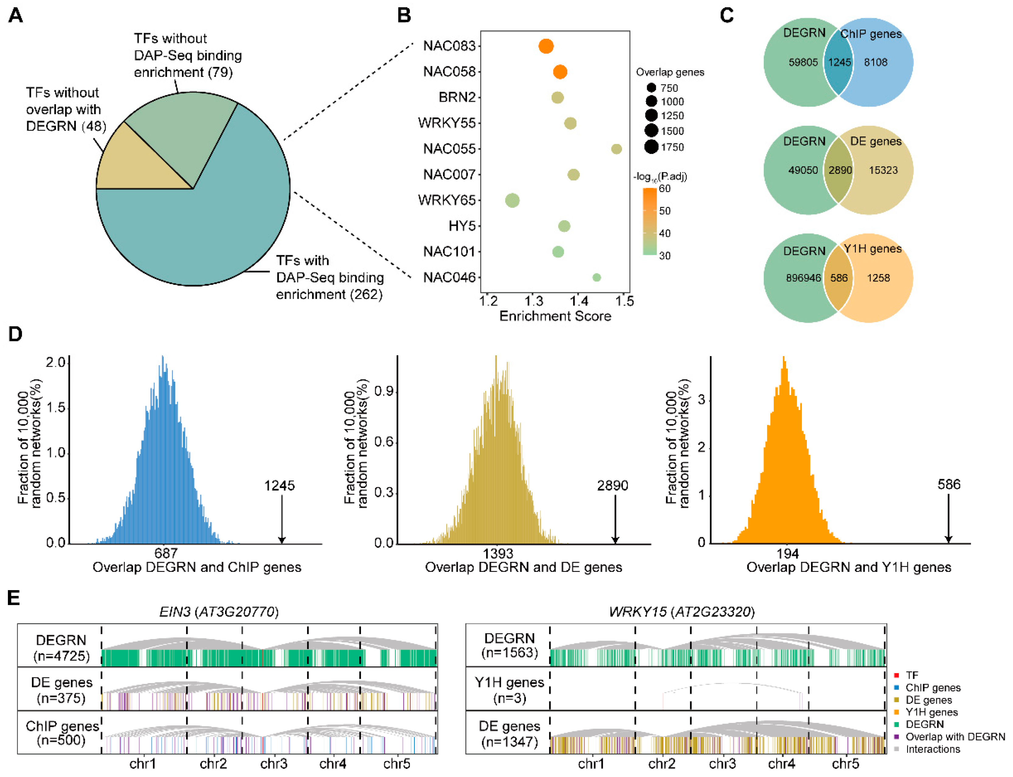 Plants 13 01276 g002