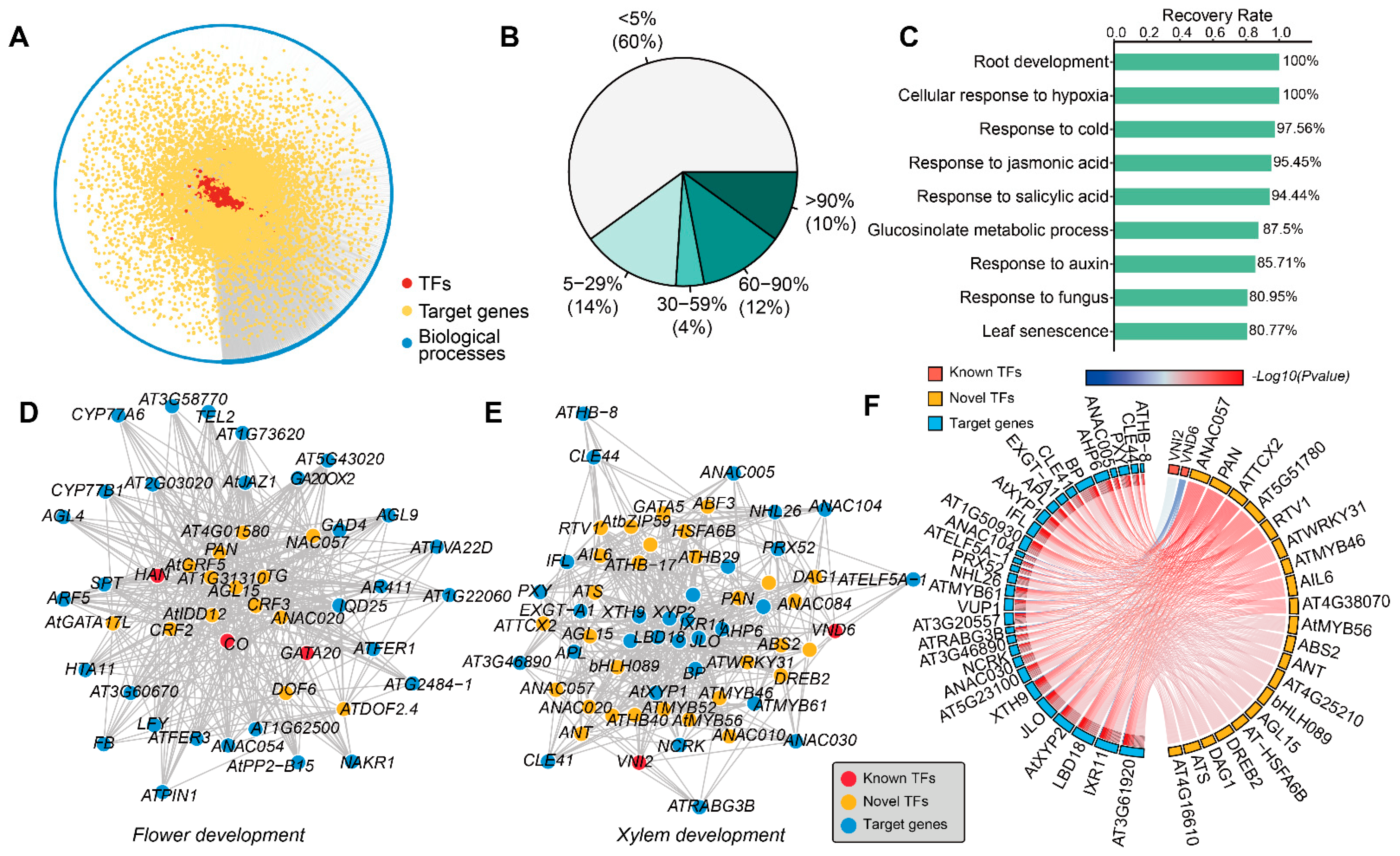 Plants 13 01276 g003