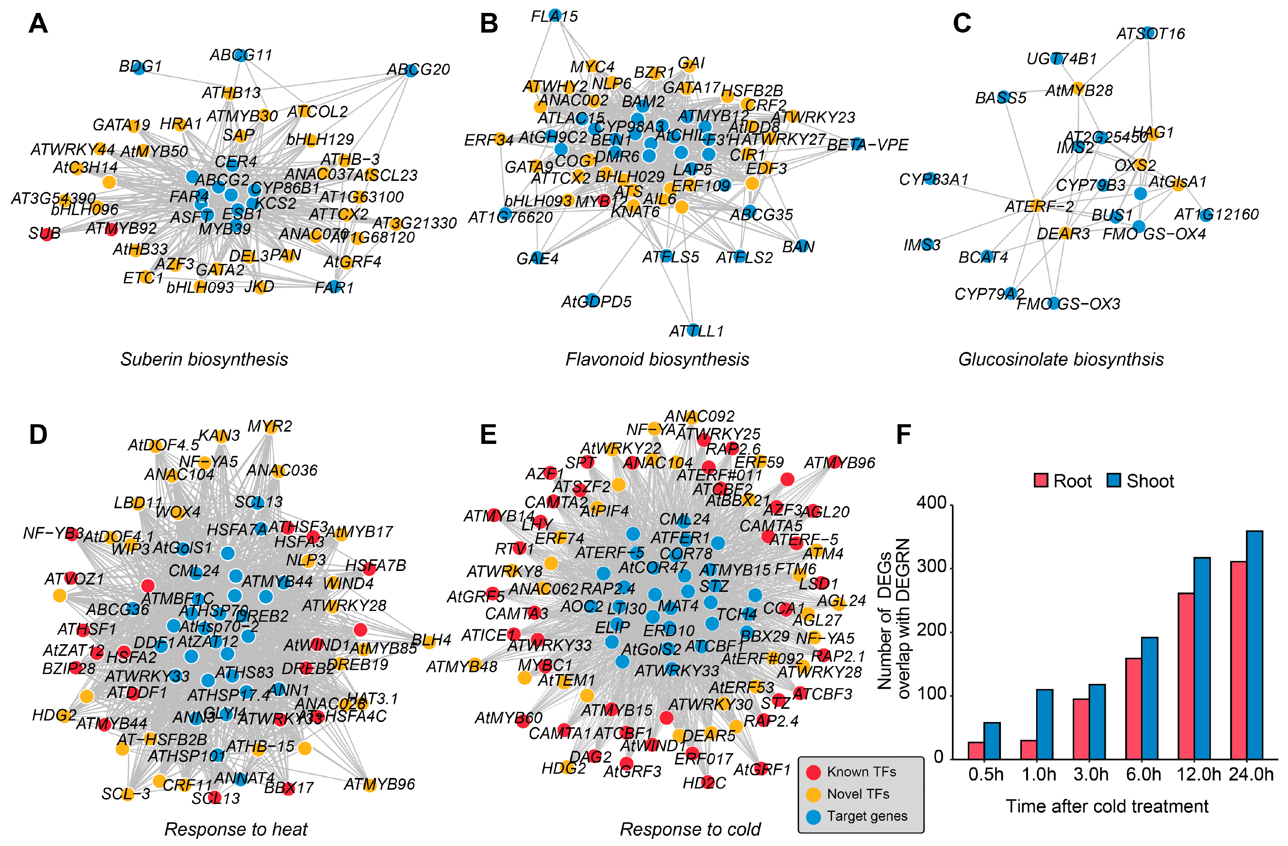 Plants 13 01276 g004