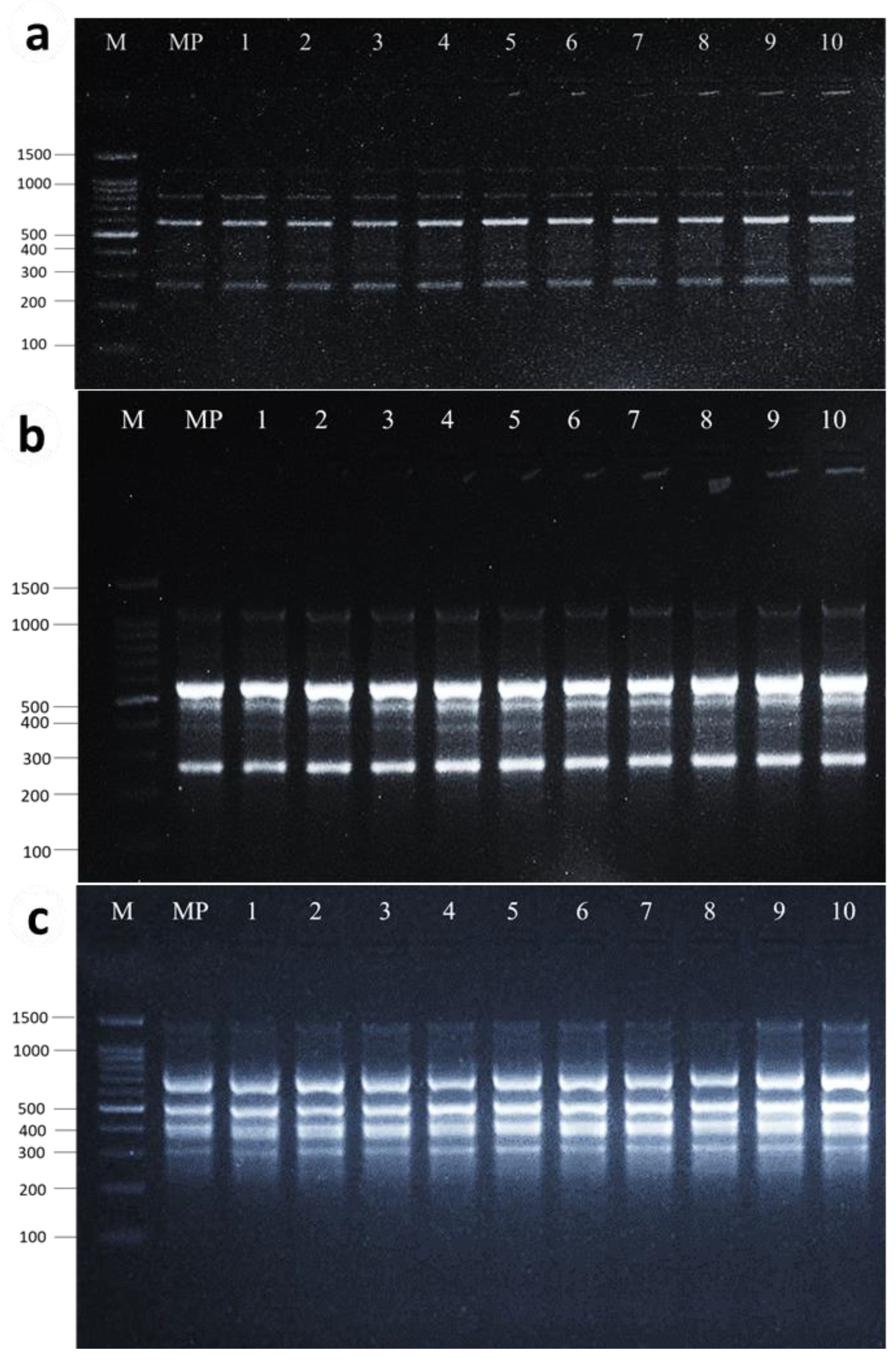 Plants 13 01278 g004 Plants 13 01278 g004