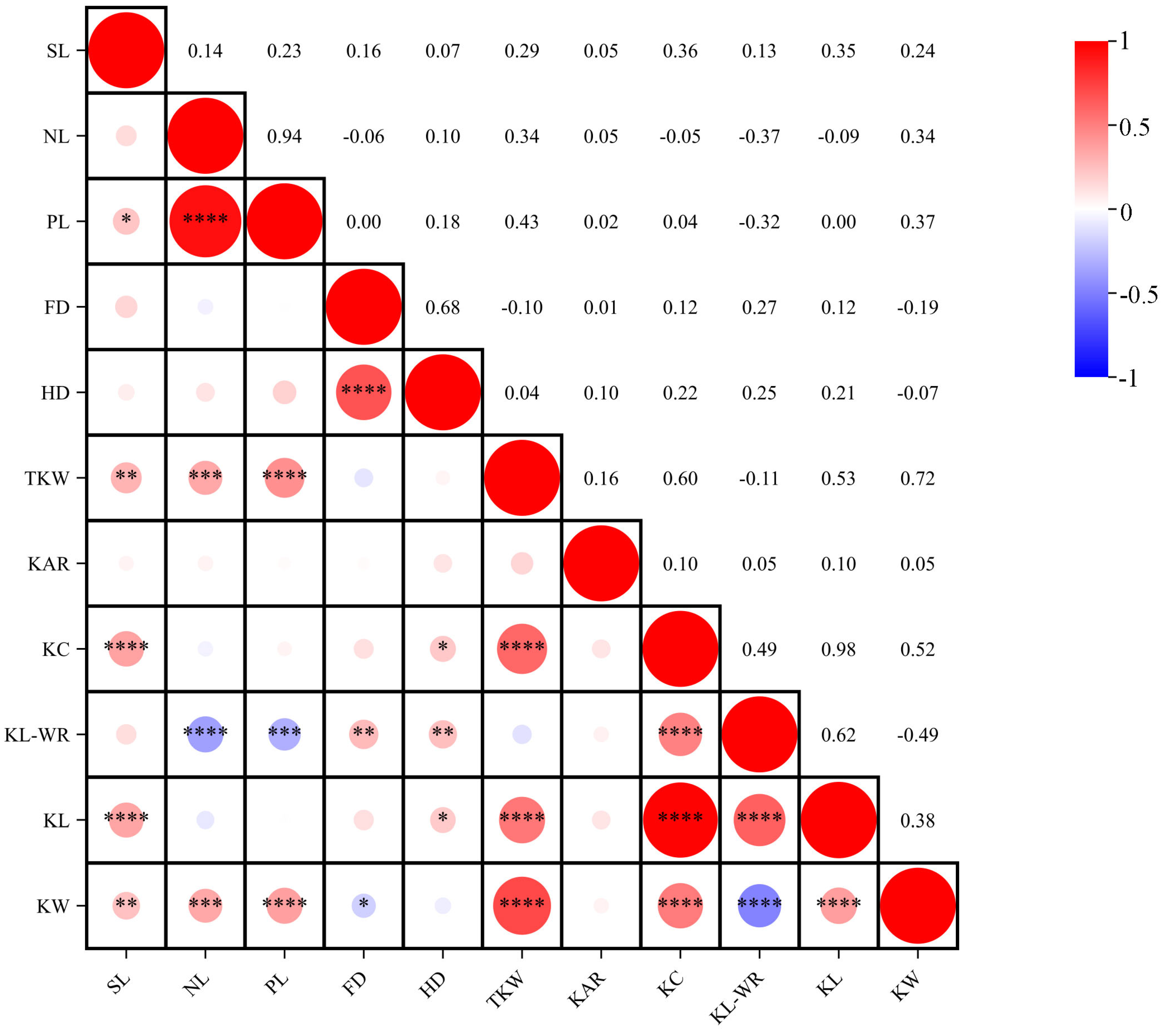 Plants 13 01285 g002