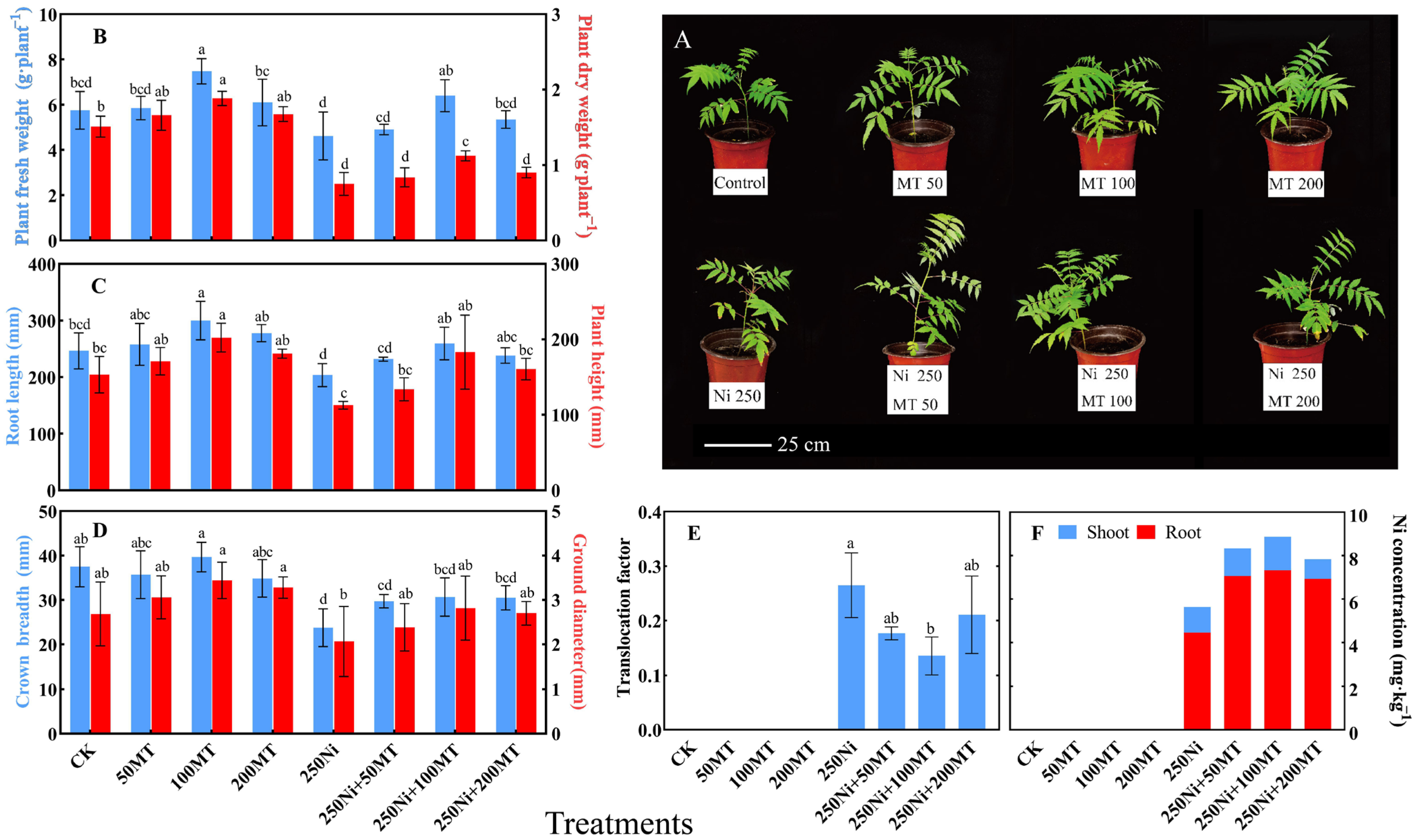 Plants 13 01287 g001