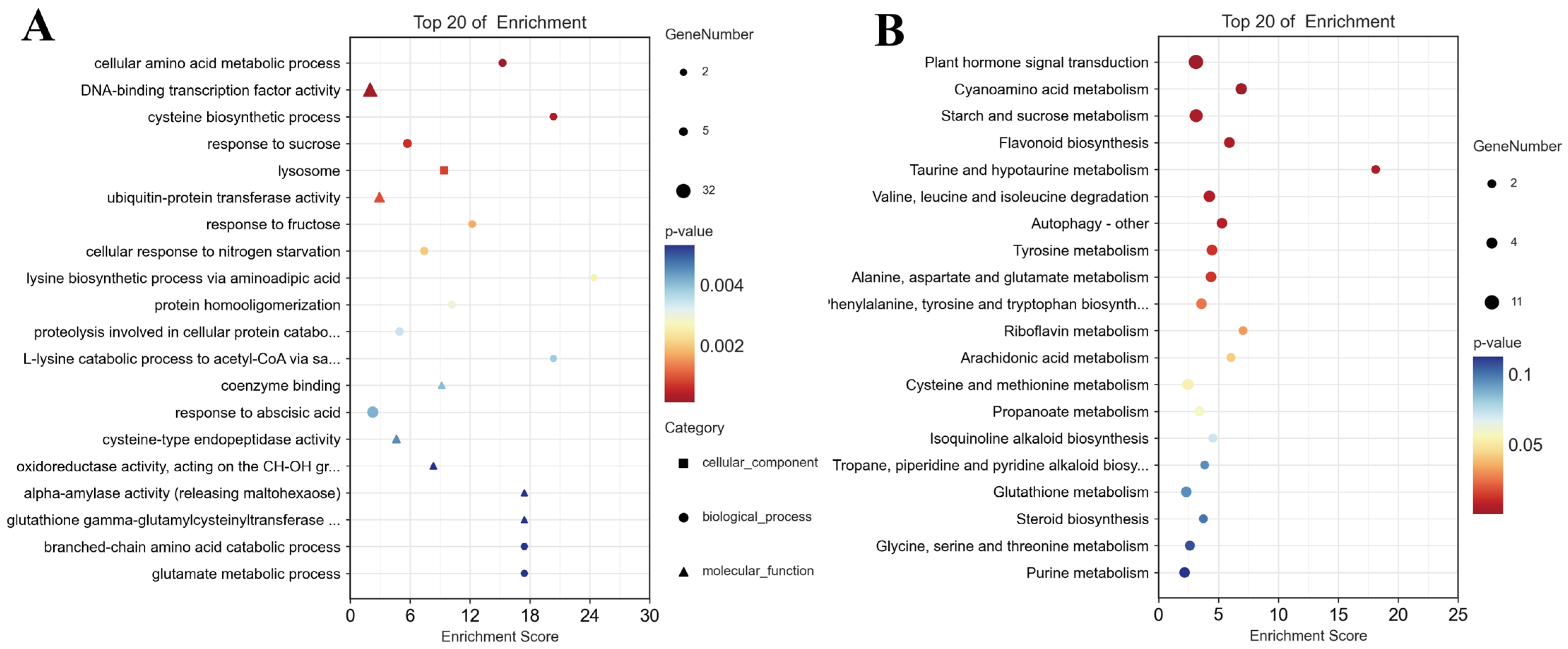 Plants 13 01287 g004