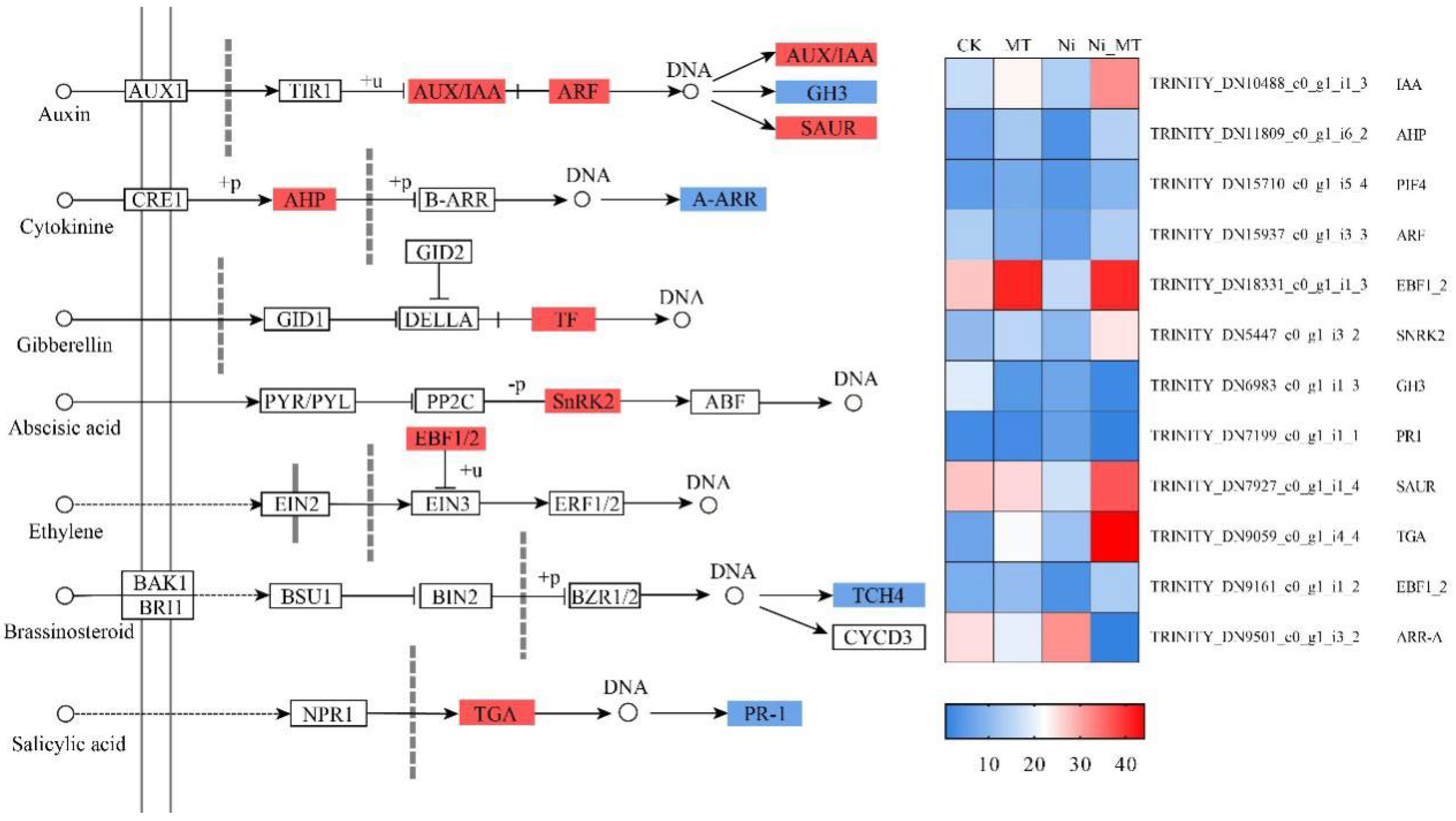 Plants 13 01287 g007