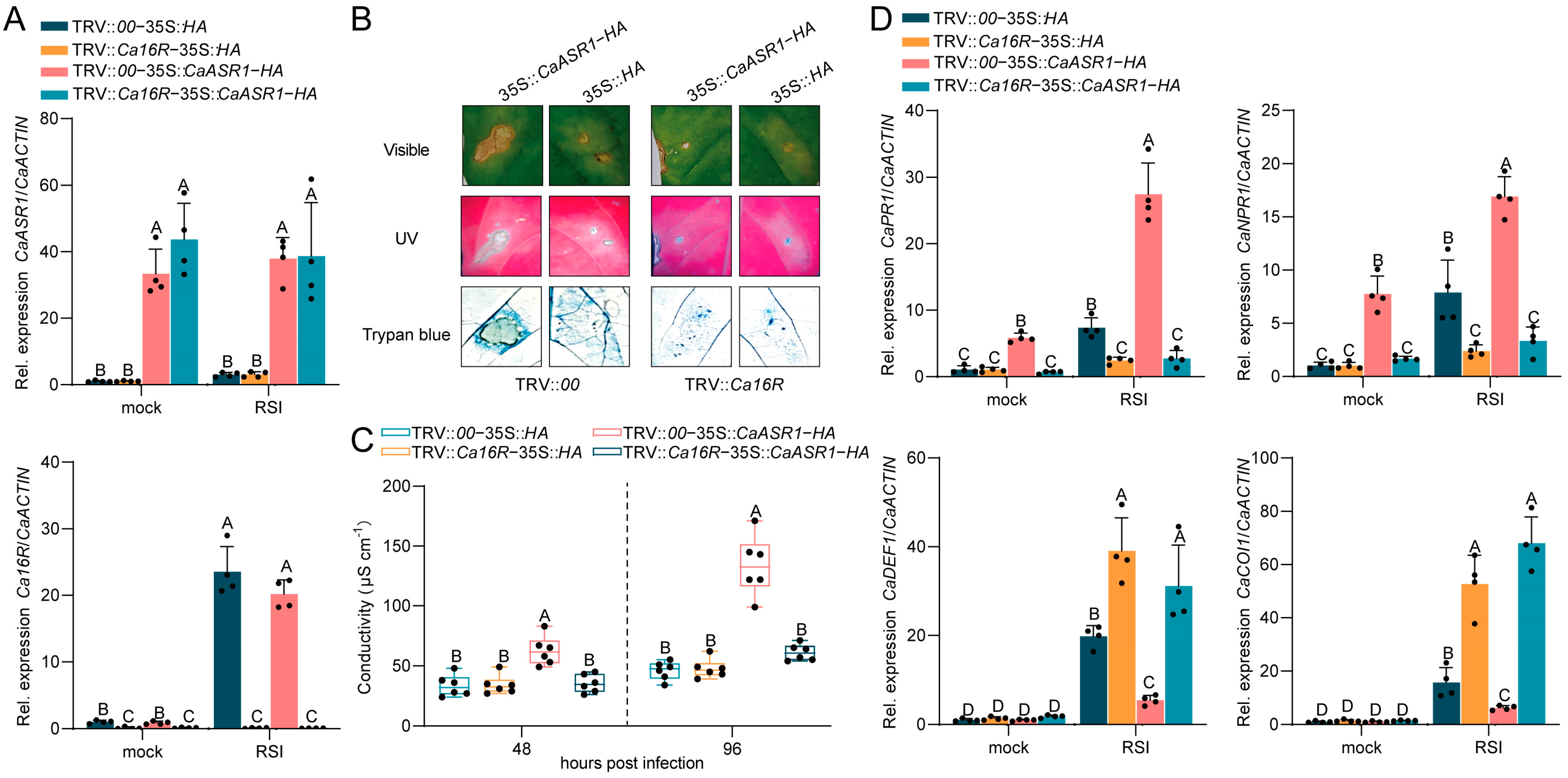 Plants 13 01289 g006
