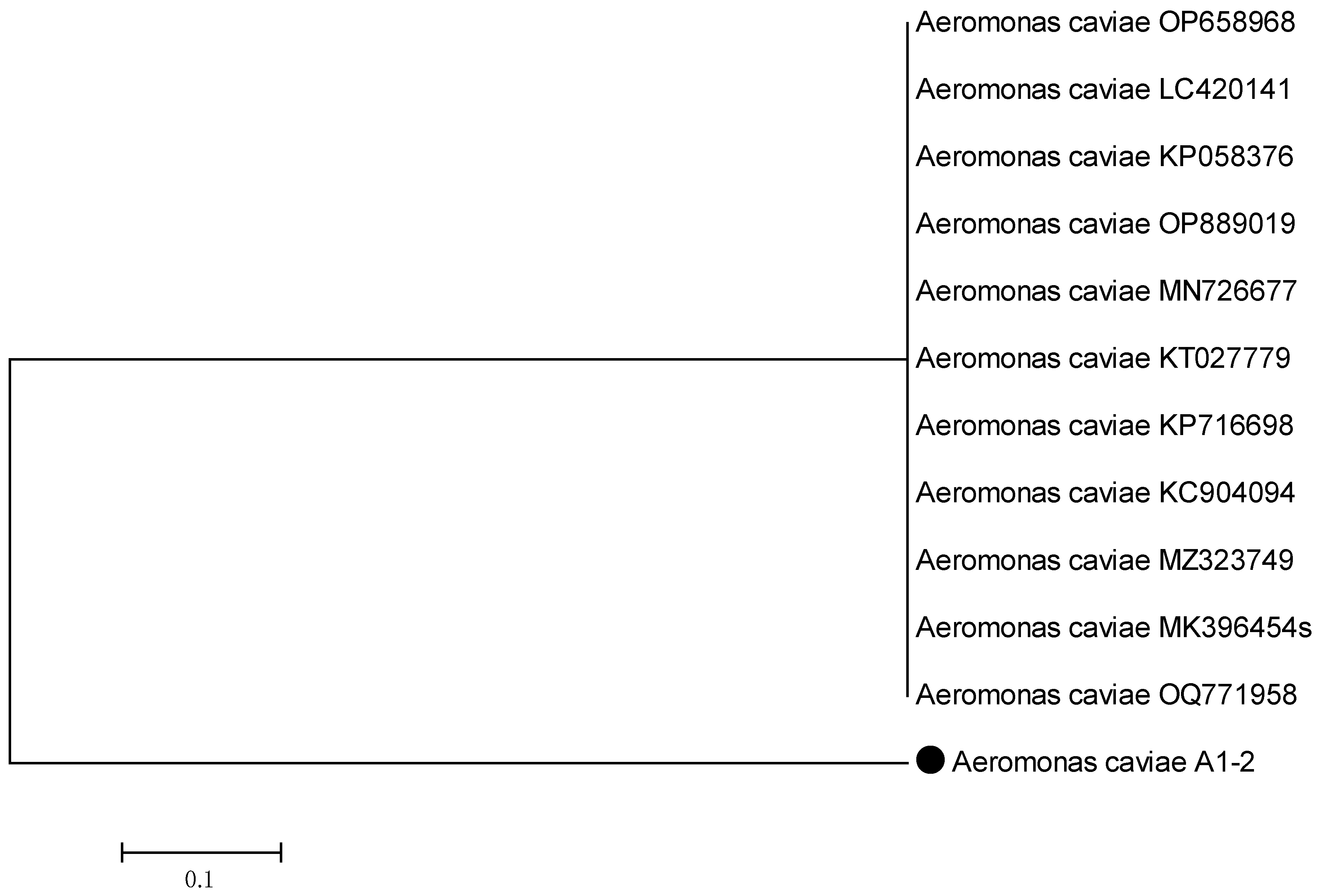 Plants 13 01298 g001