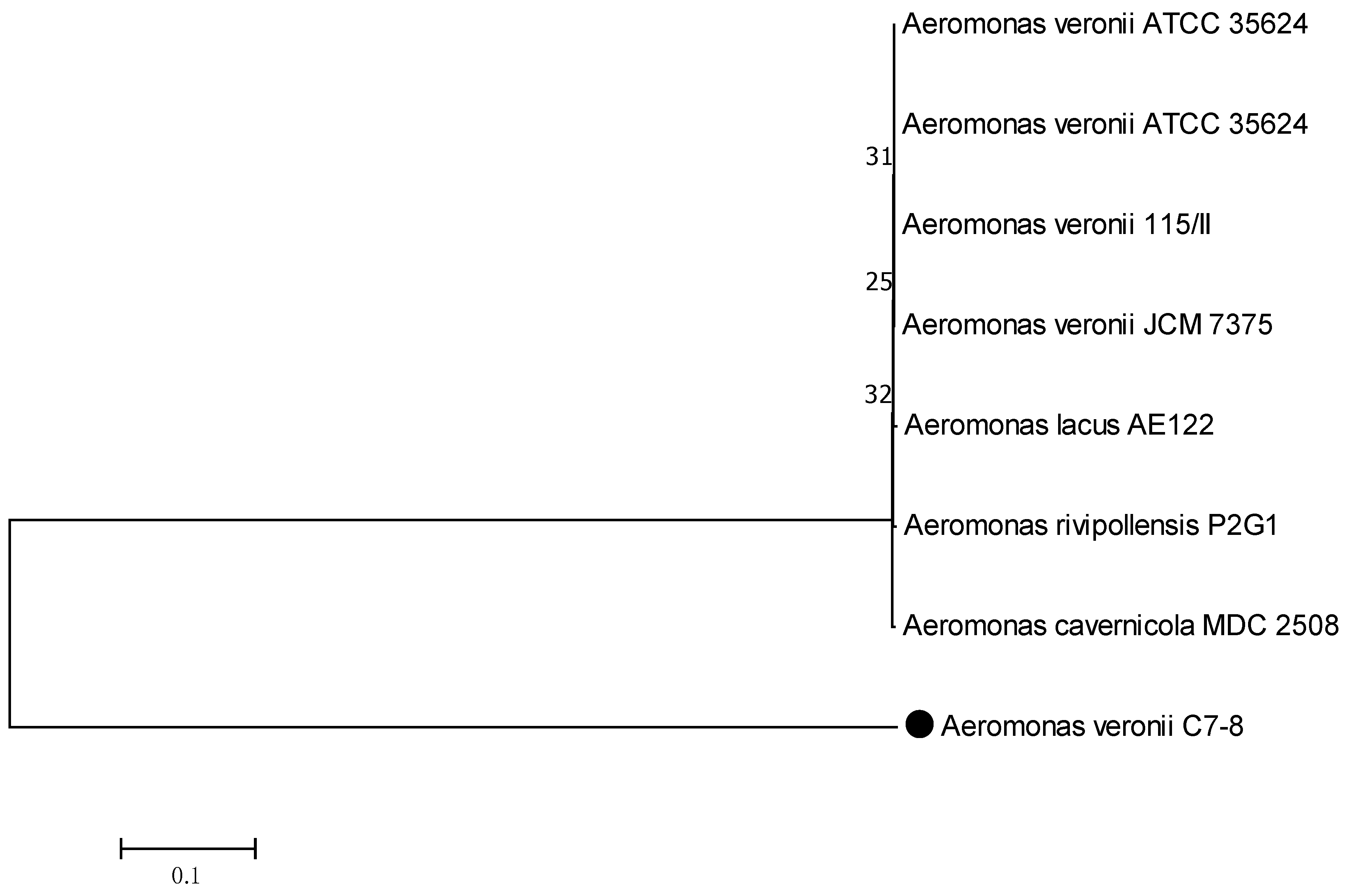 Plants 13 01298 g002