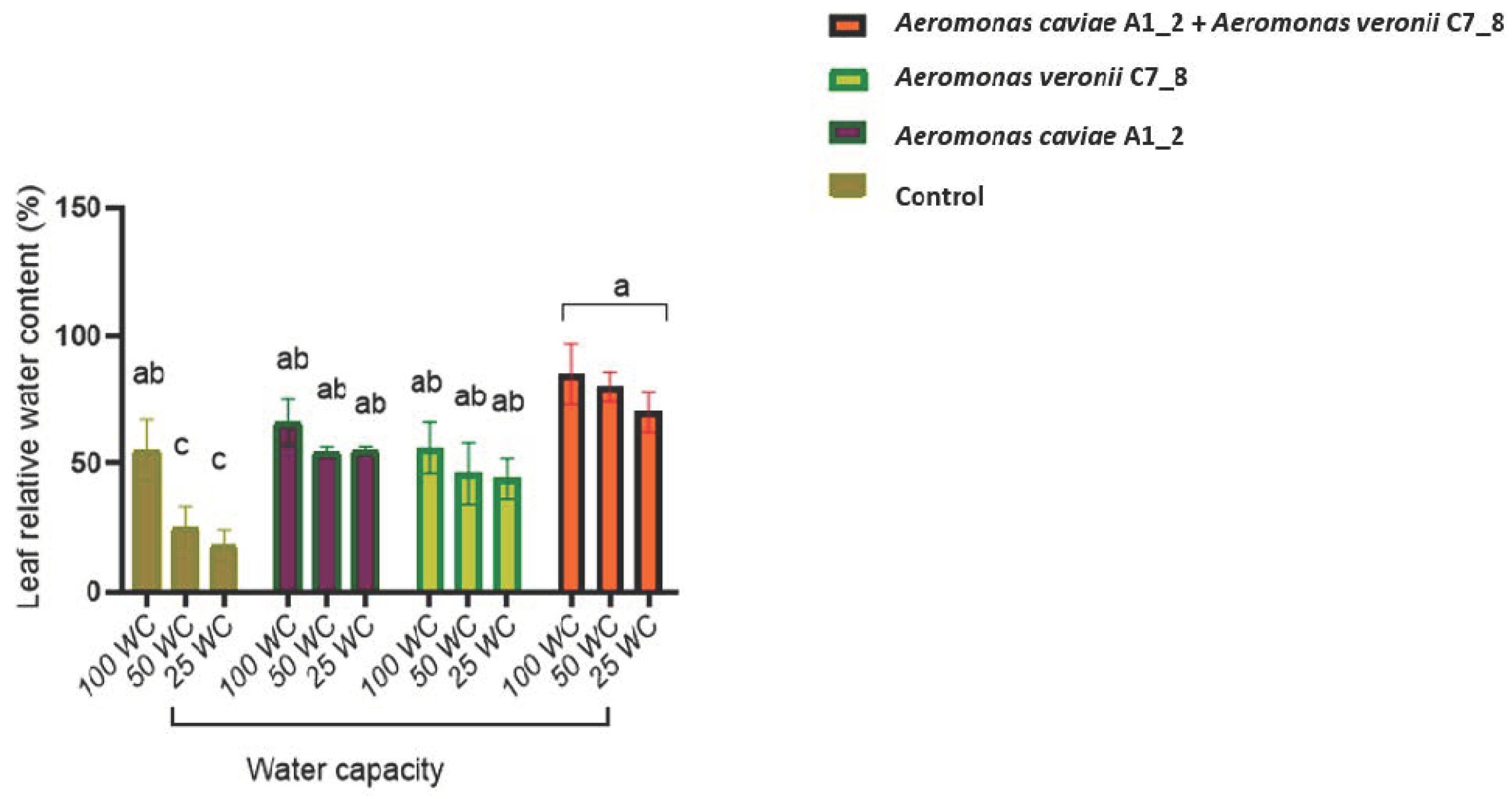 Plants 13 01298 g004