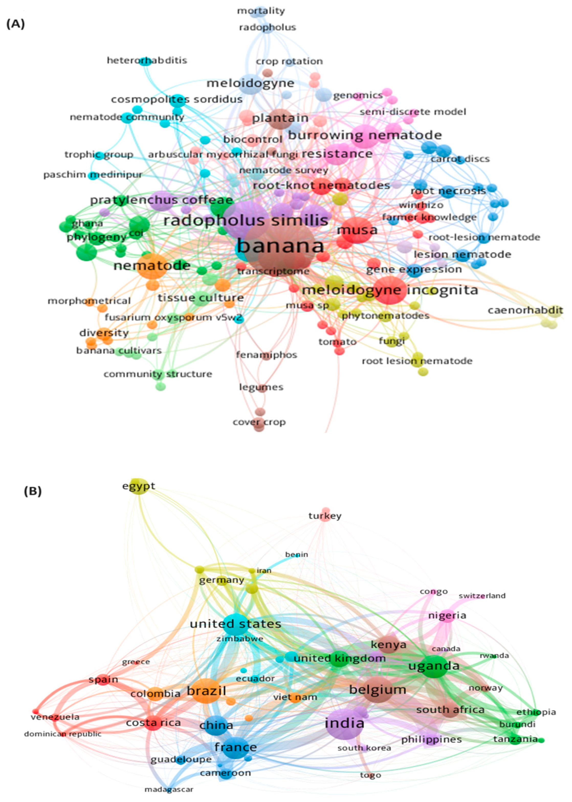 Plants 13 01299 g002 Plants 13 01299 g002