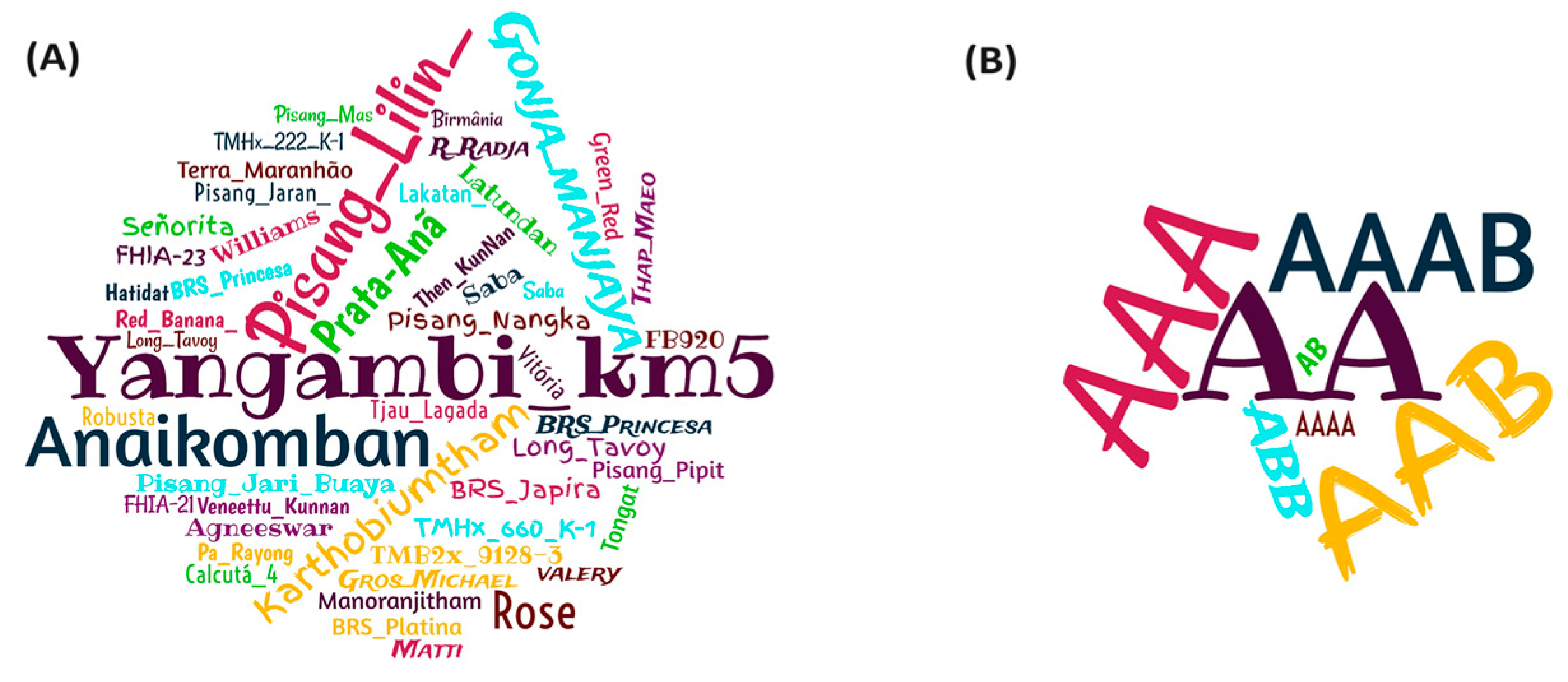 Plants 13 01299 g009 Plants 13 01299 g009