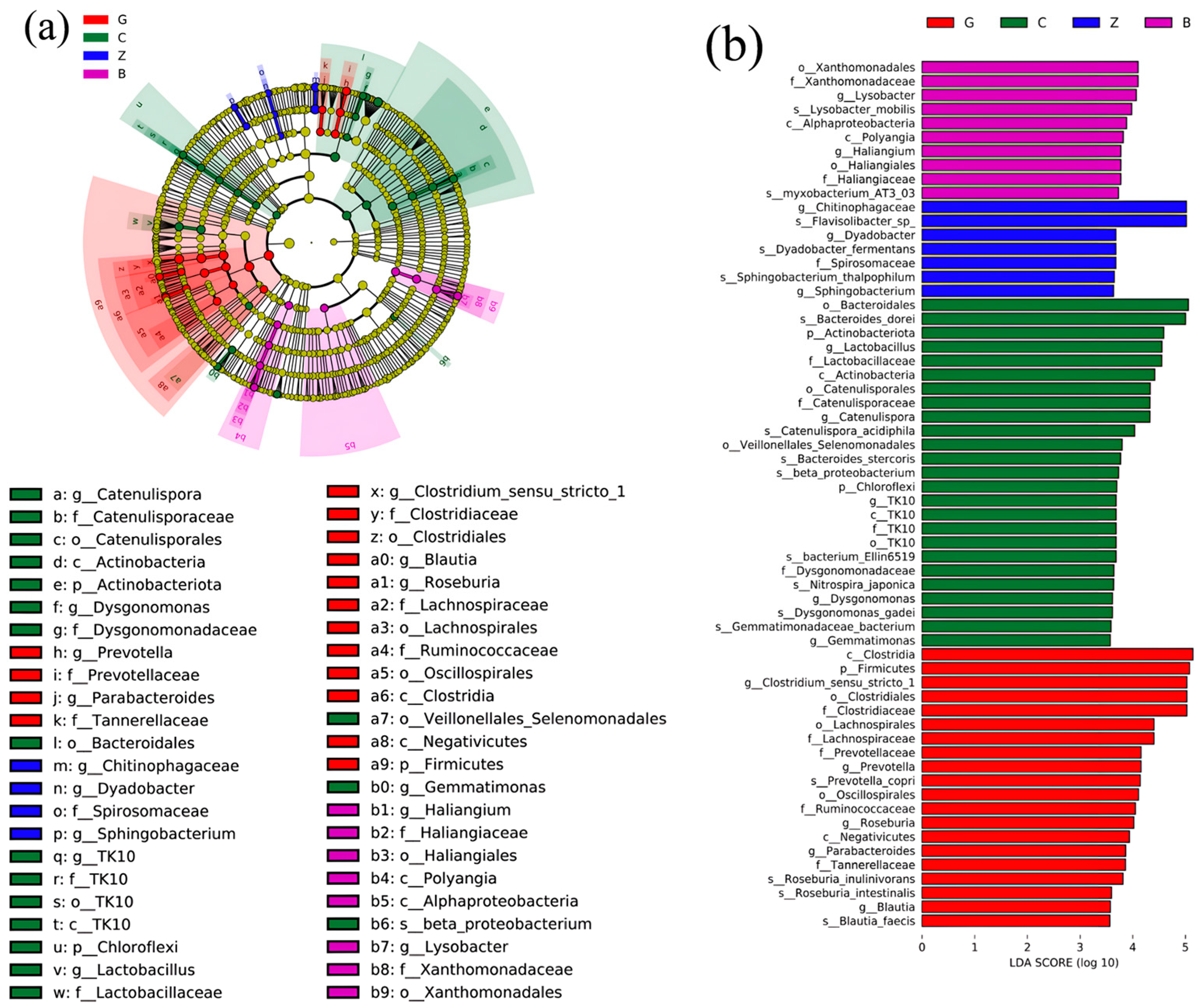 Plants 13 01303 g005