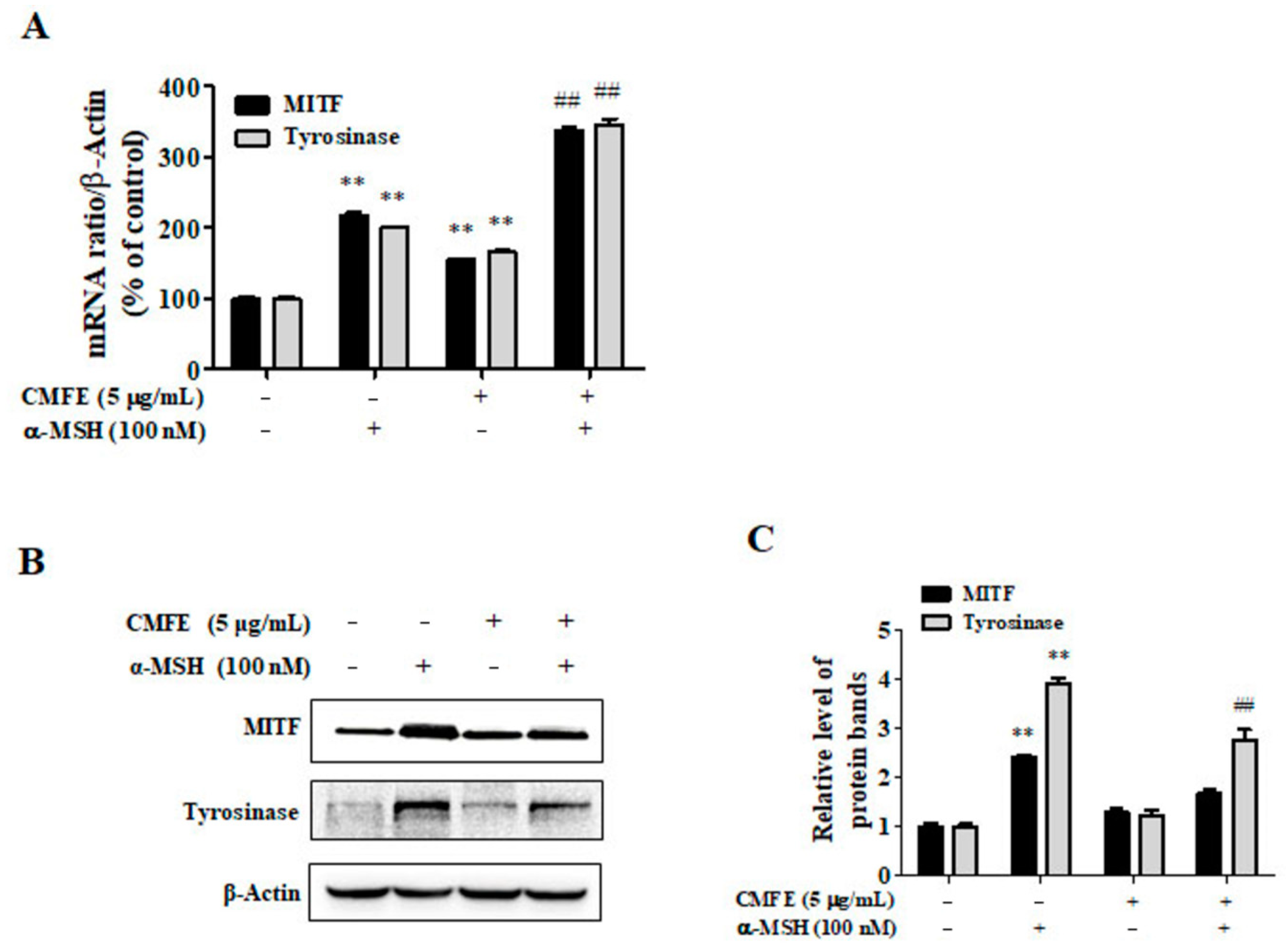 Plants 13 01305 g003