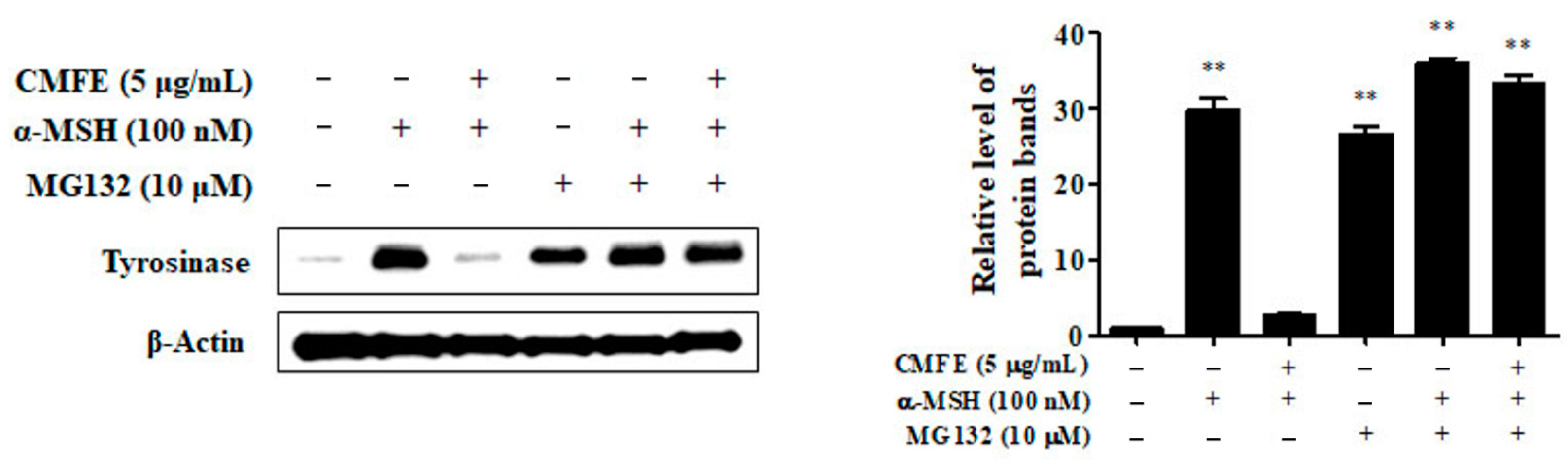 Plants 13 01305 g004