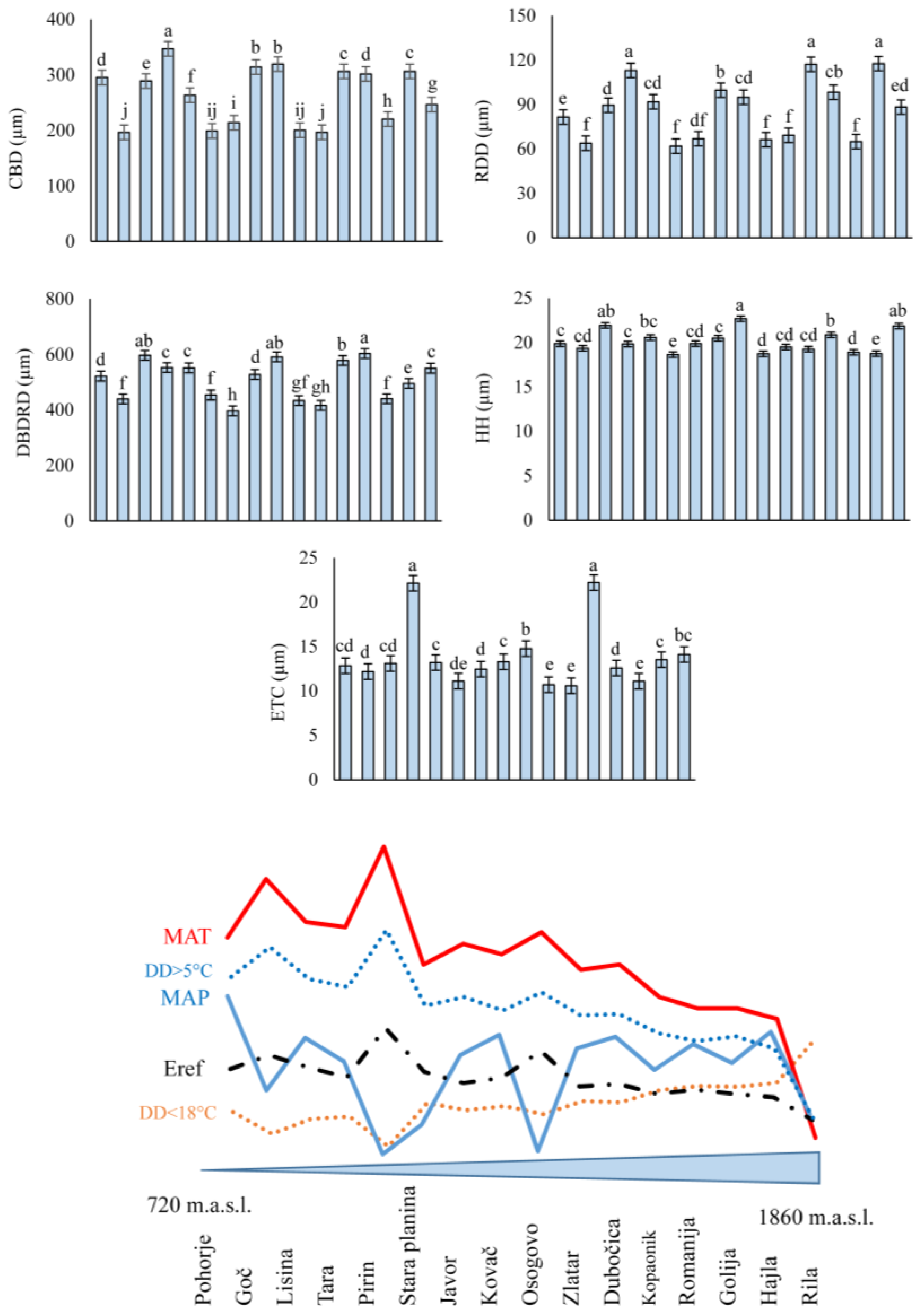 Plants 13 01307 g002