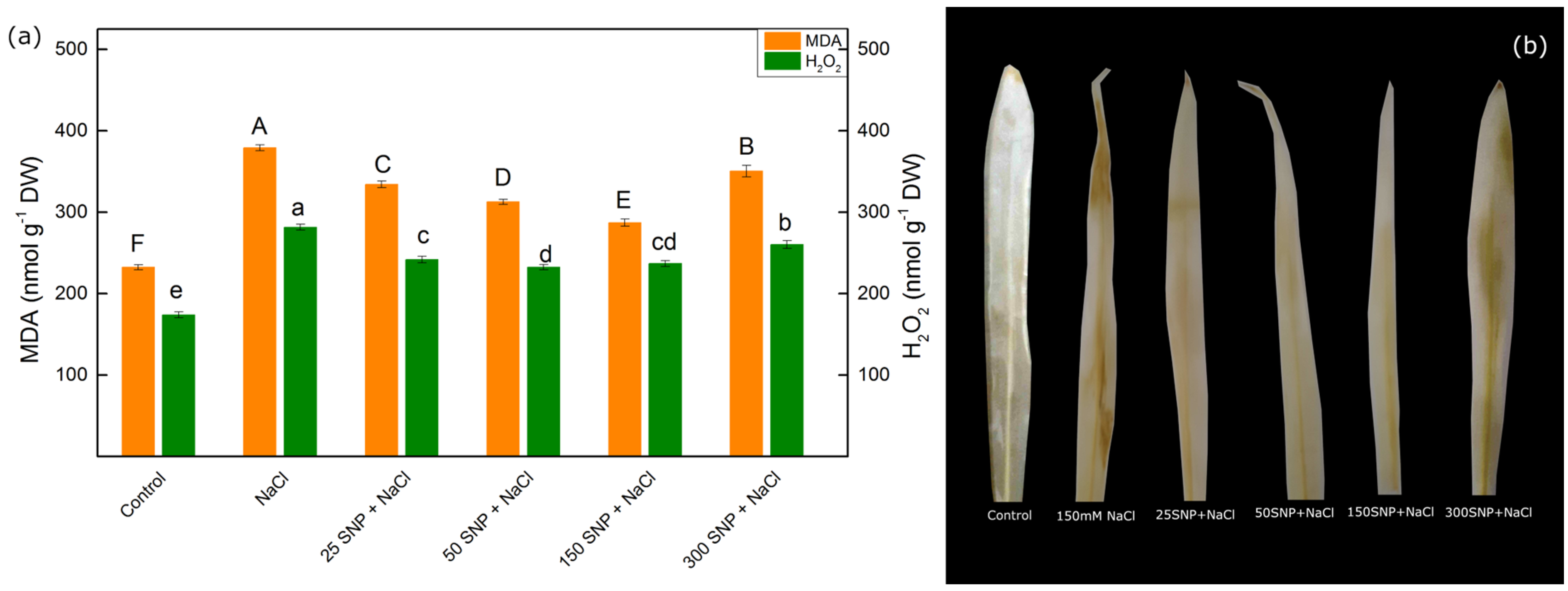 Plants 13 01312 g002 Plants 13 01312 g002