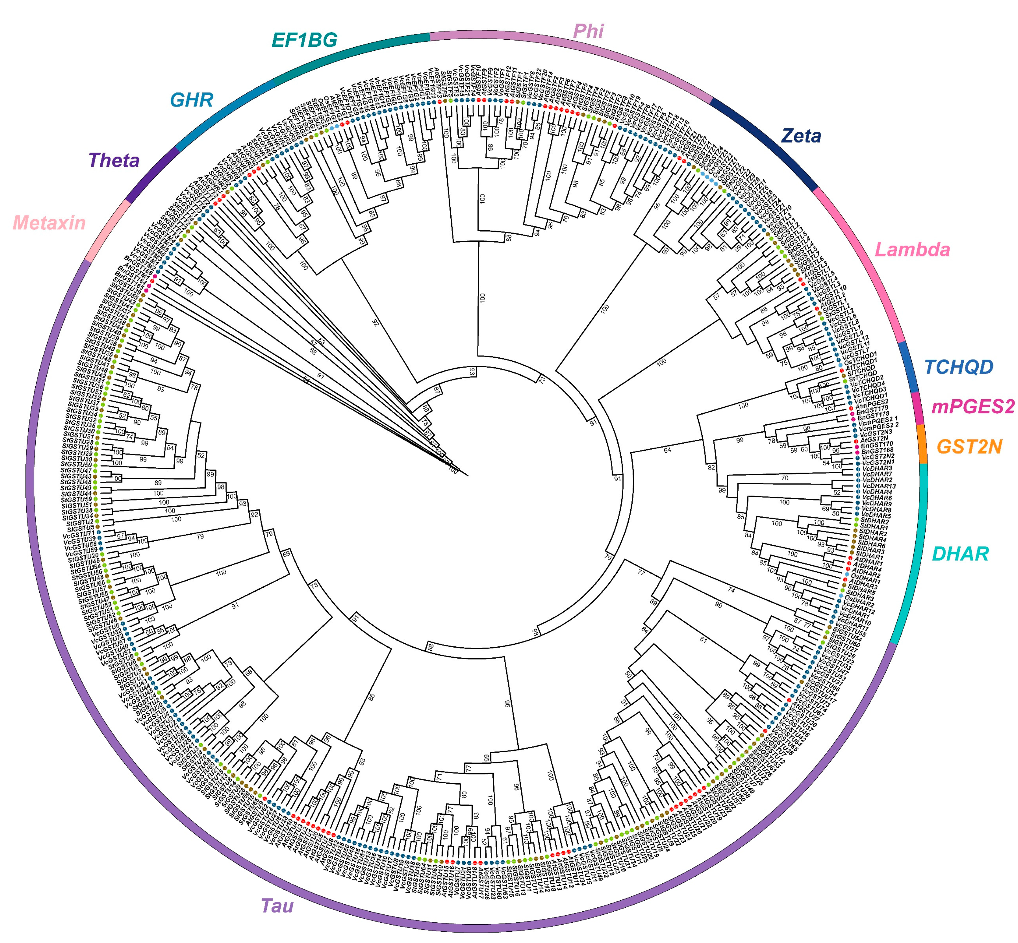 Plants 13 01316 g001