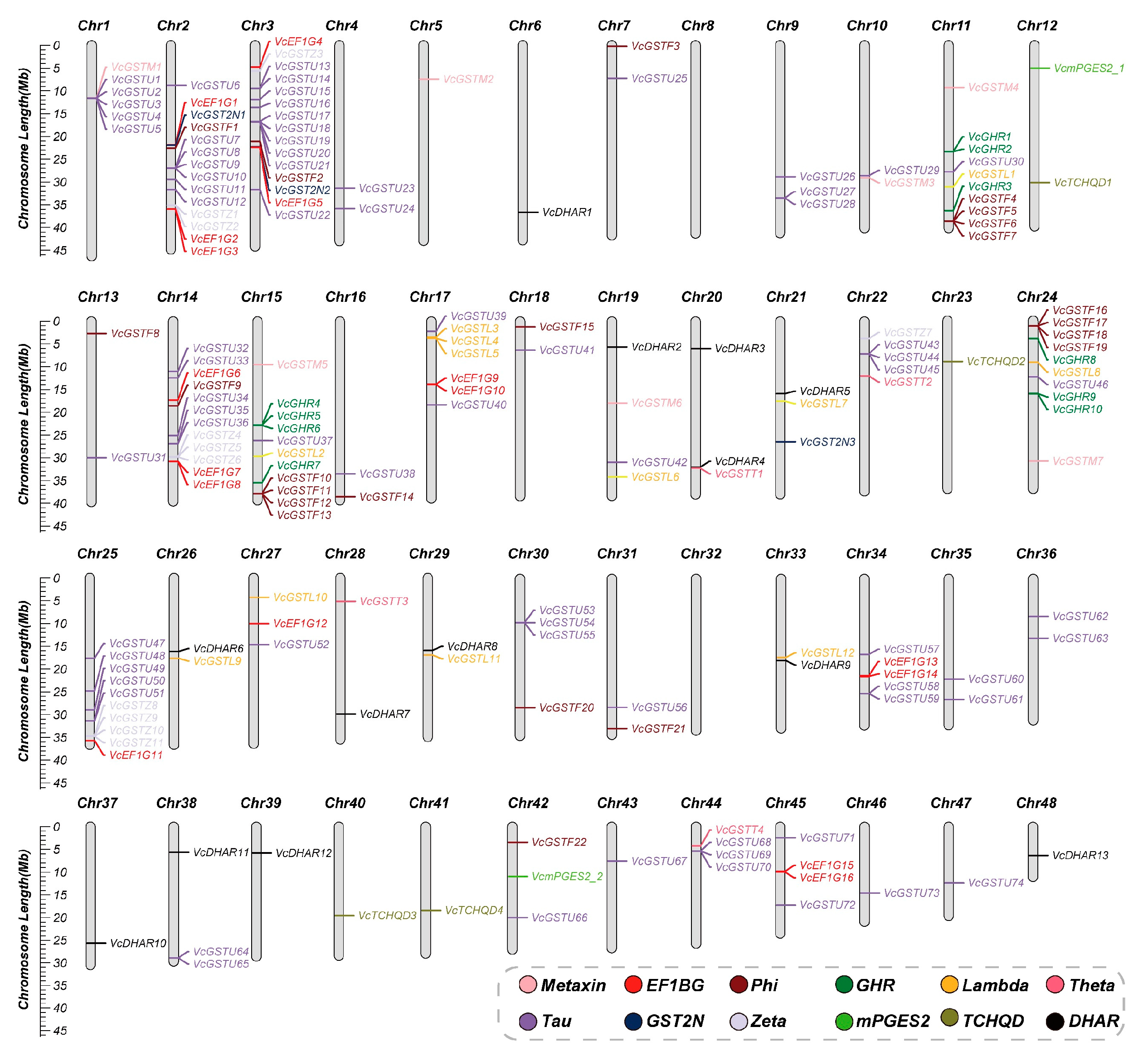 Plants 13 01316 g002