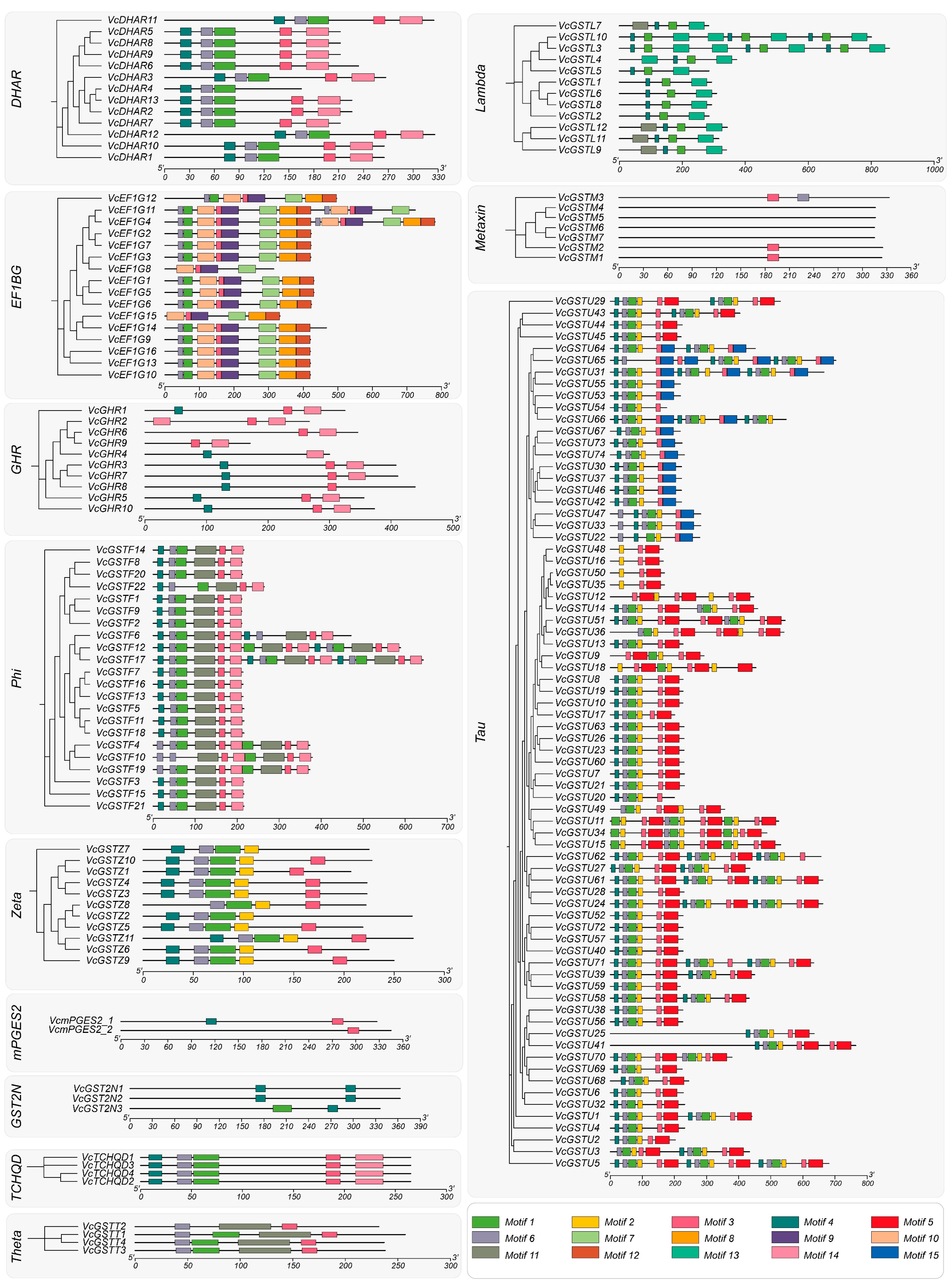 Plants 13 01316 g004