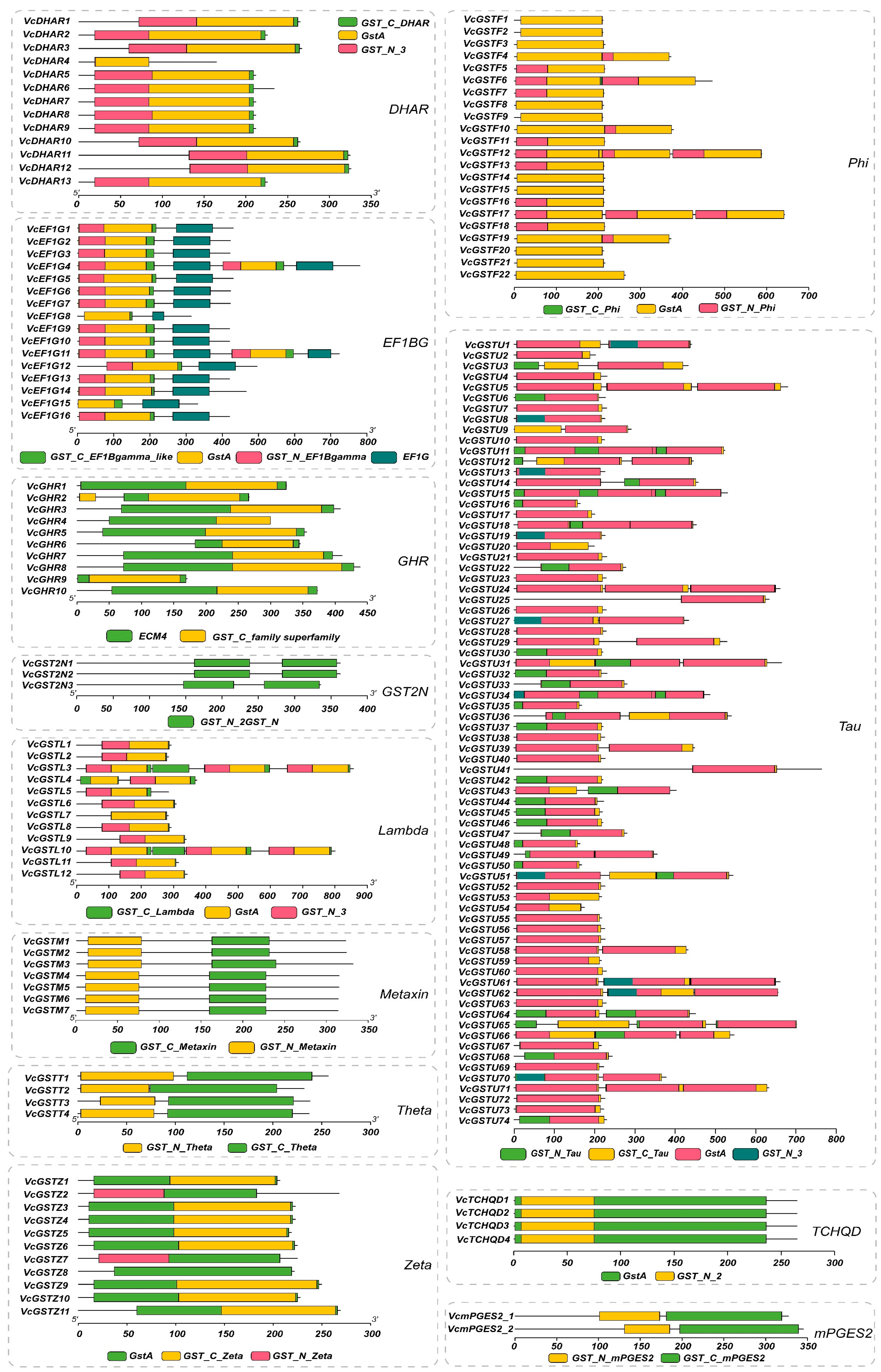 Plants 13 01316 g005