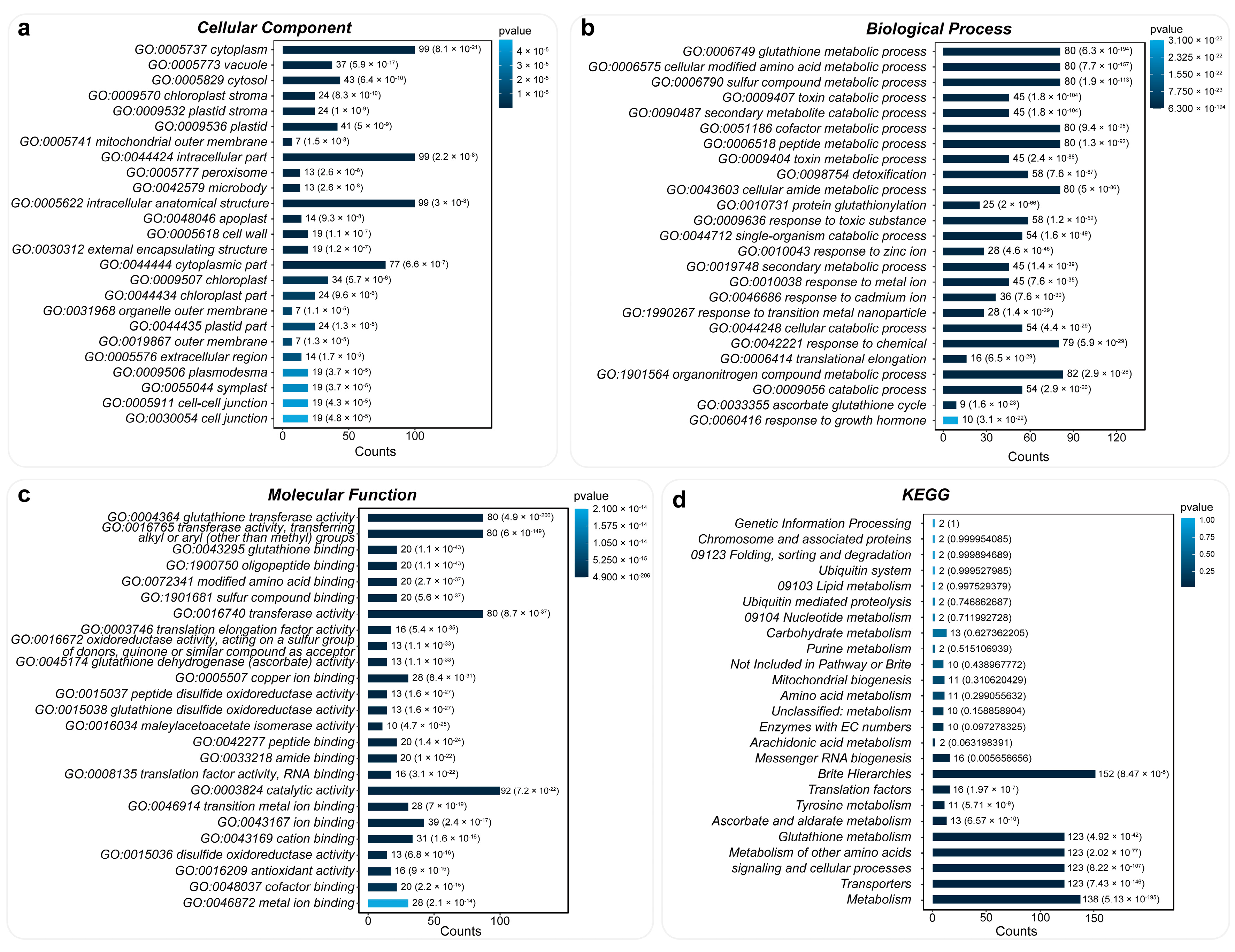 Plants 13 01316 g006
