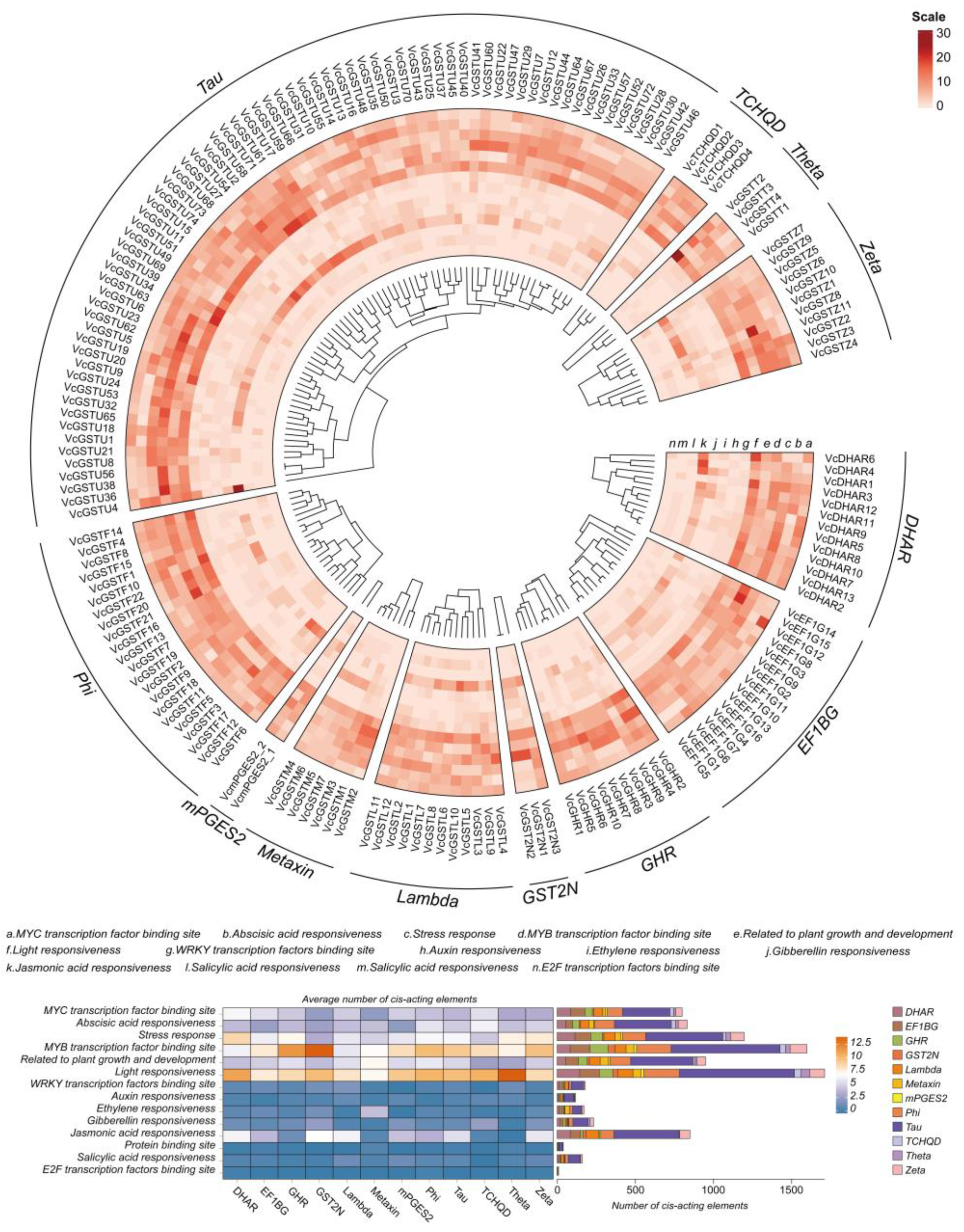 Plants 13 01316 g007