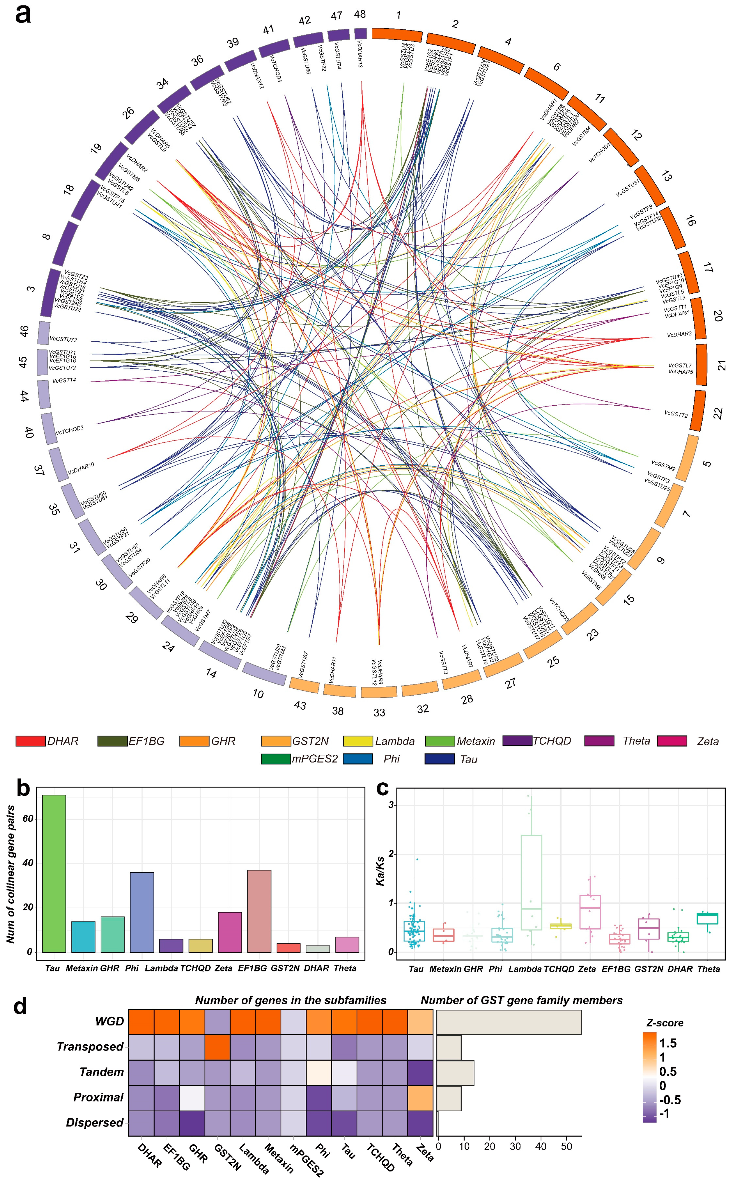 Plants 13 01316 g008