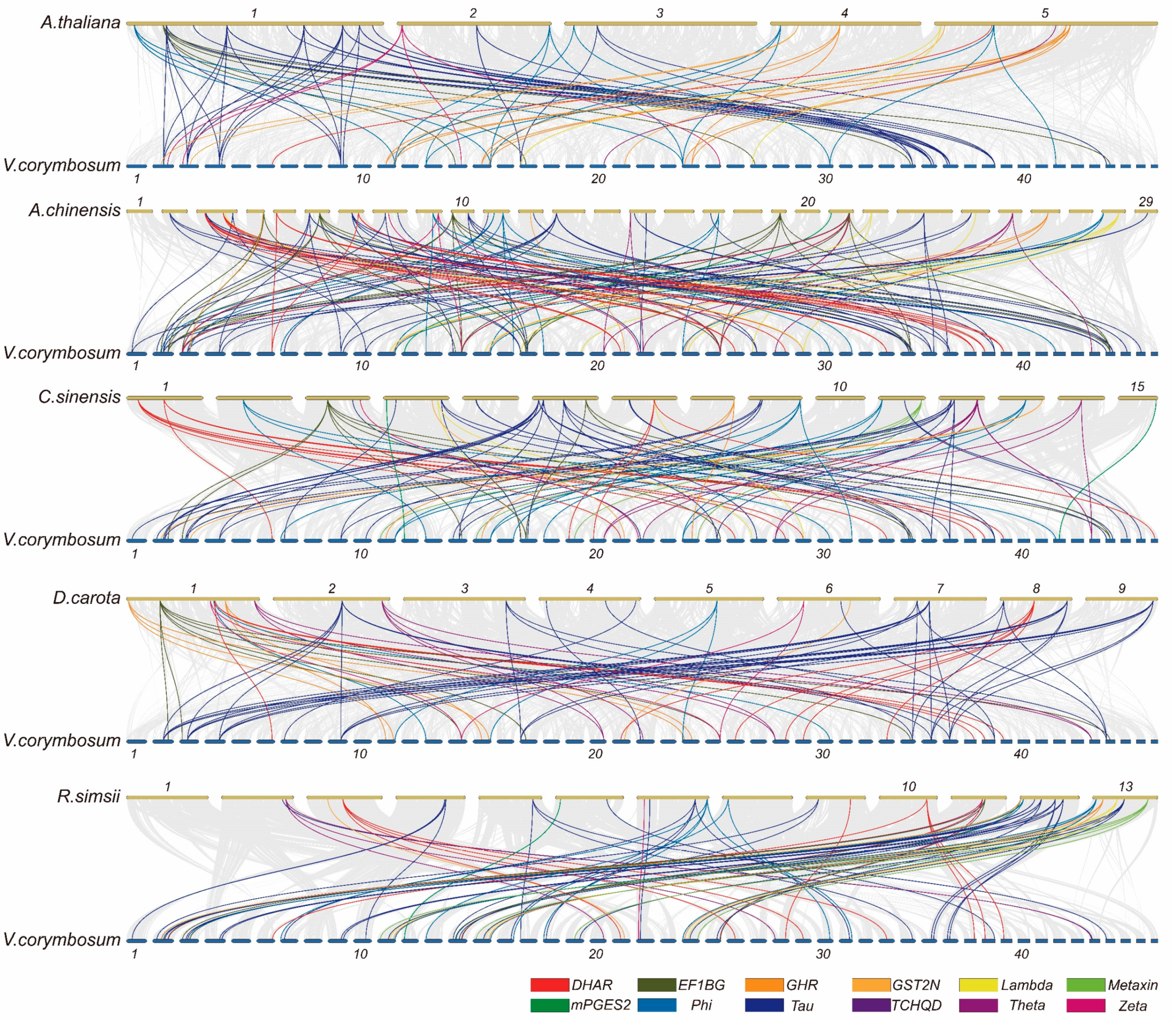 Plants 13 01316 g009