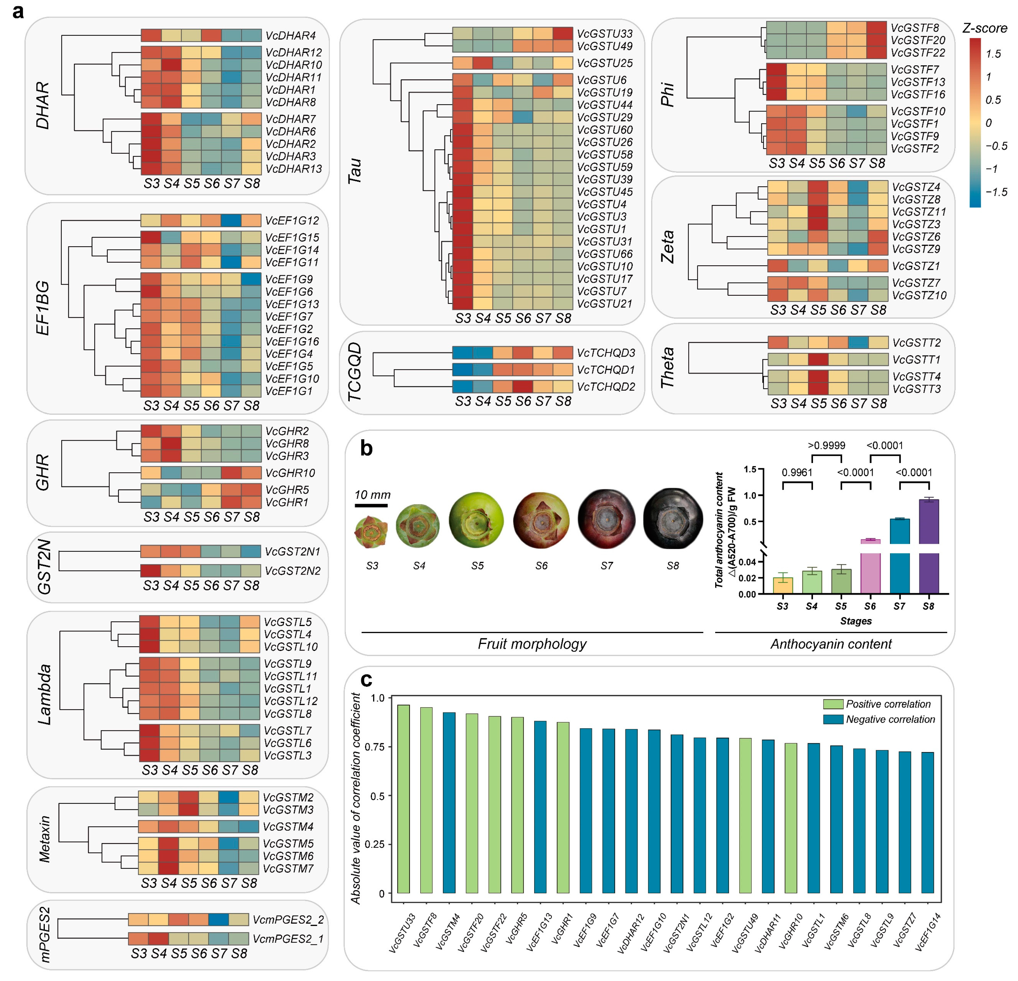 Plants 13 01316 g010