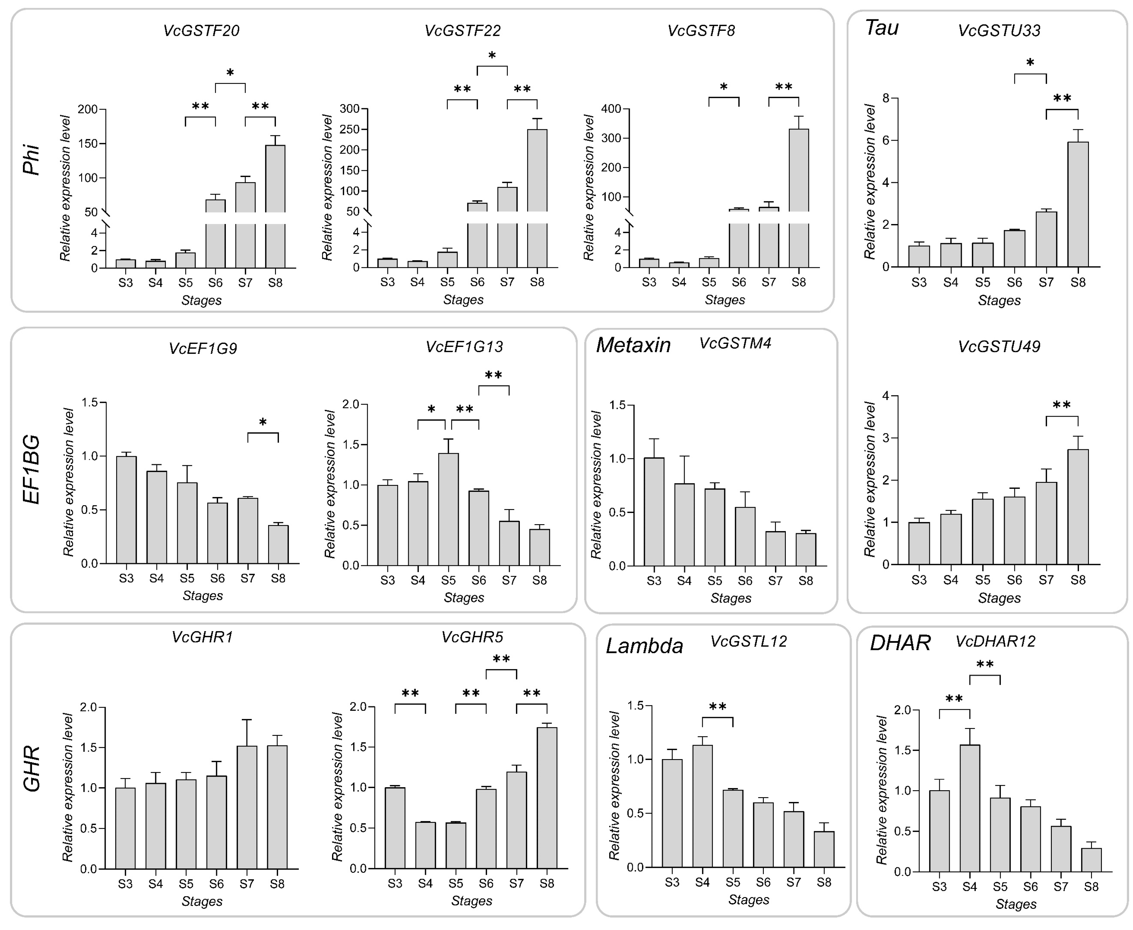 Plants 13 01316 g011