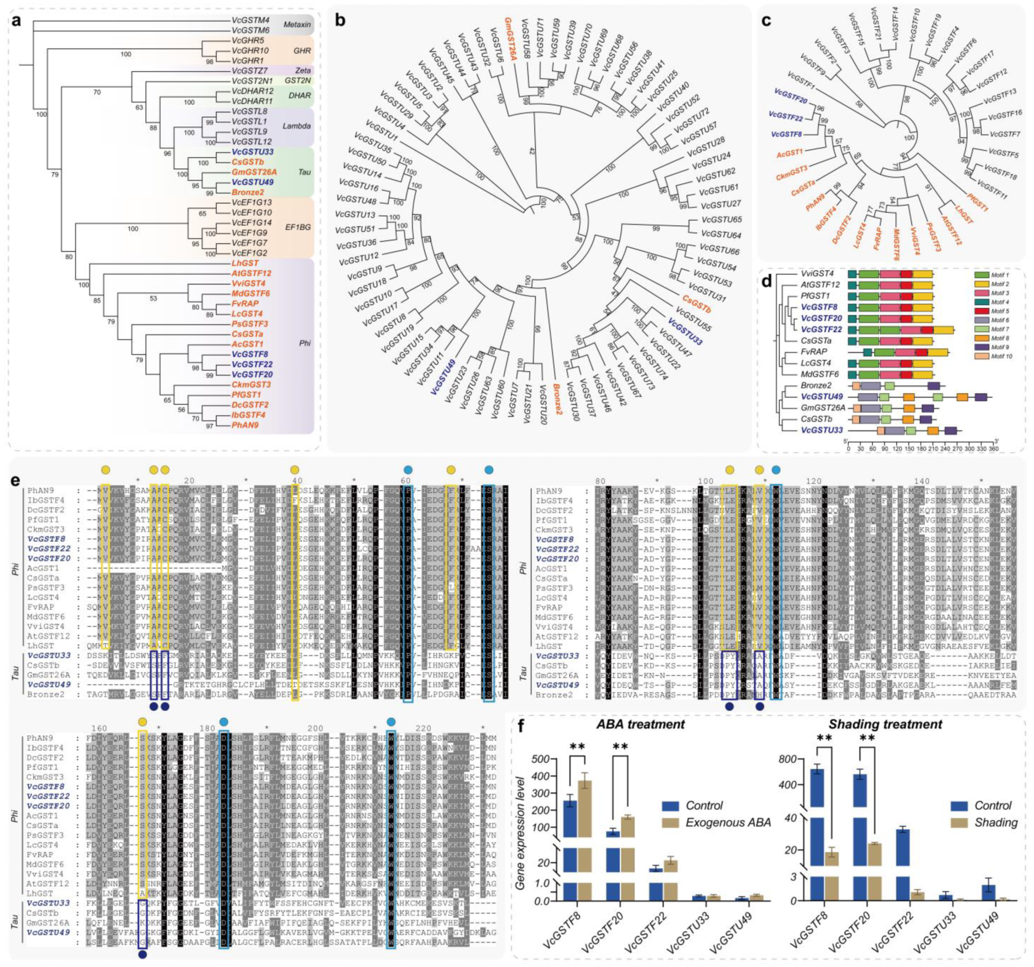Plants 13 01316 g012