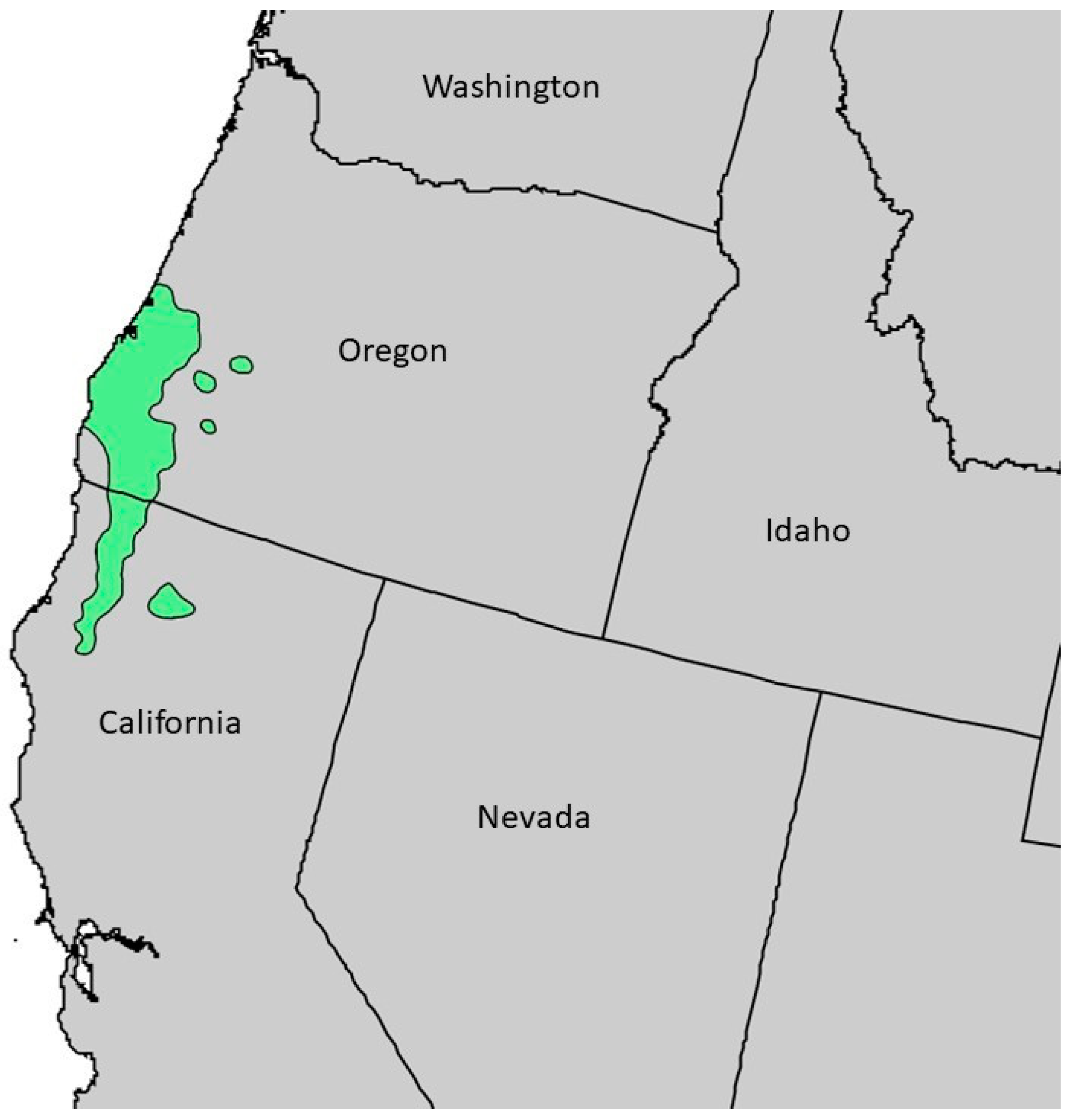 Plants 13 01325 g002