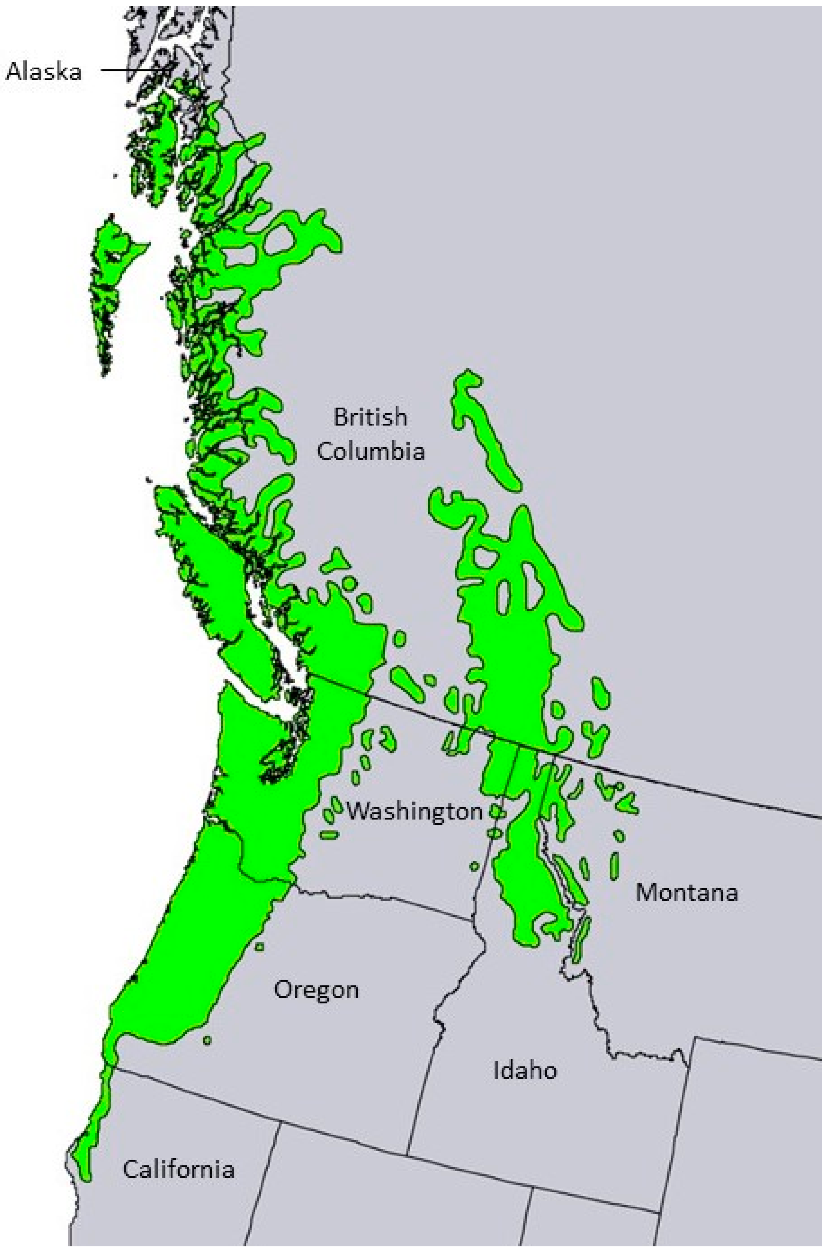 Plants 13 01325 g004