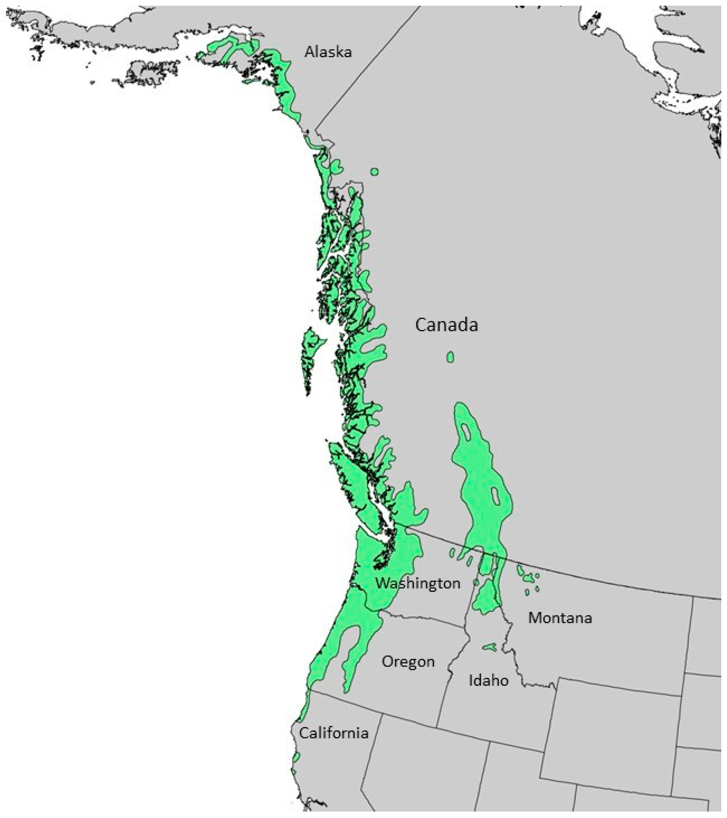 Plants 13 01325 g006