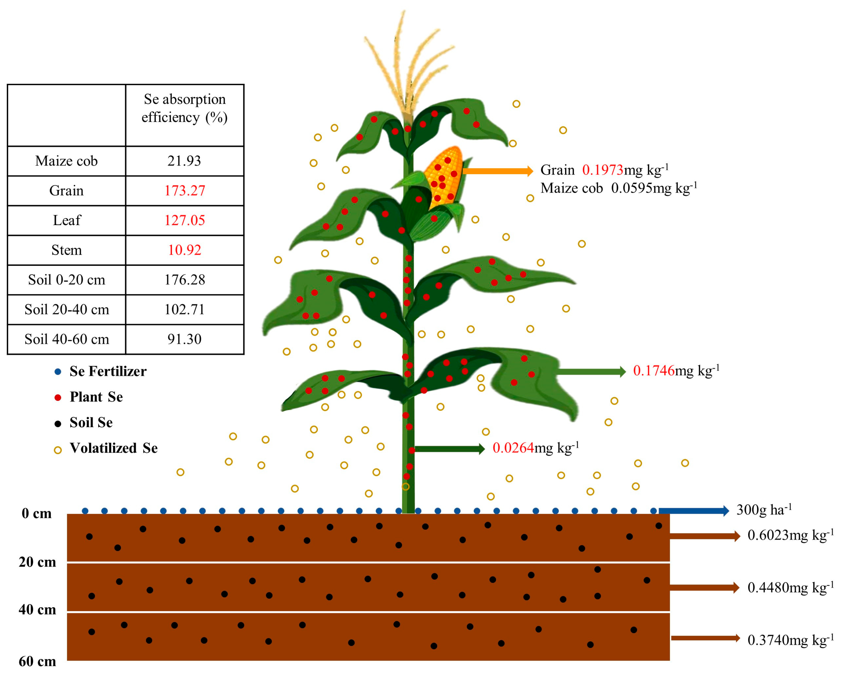Plants 13 01327 g003