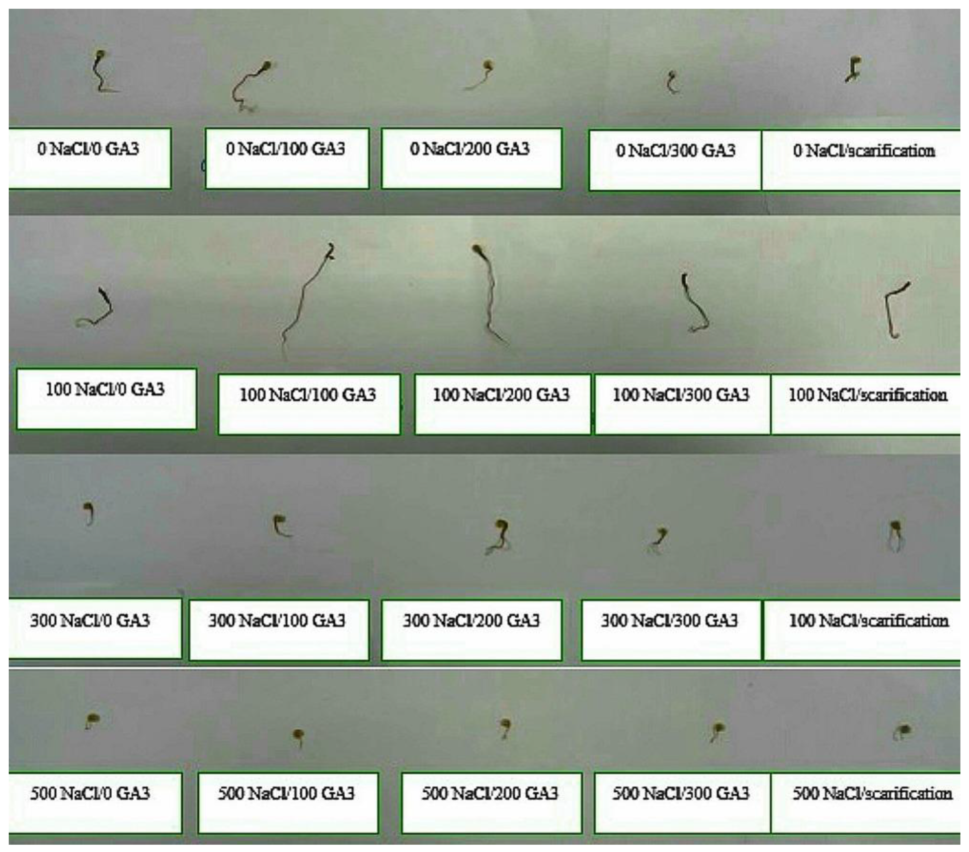 Plants 13 01330 g009