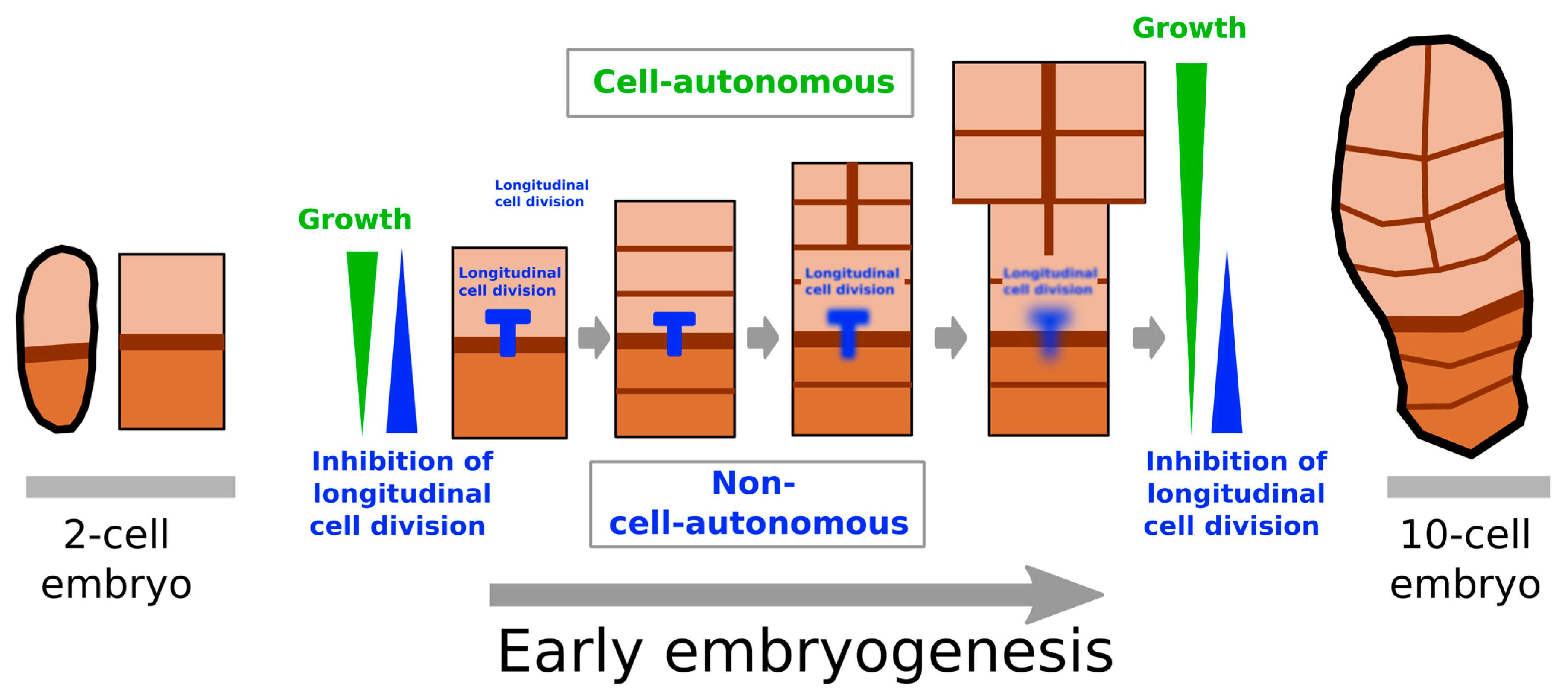 Plants 13 01341 g007